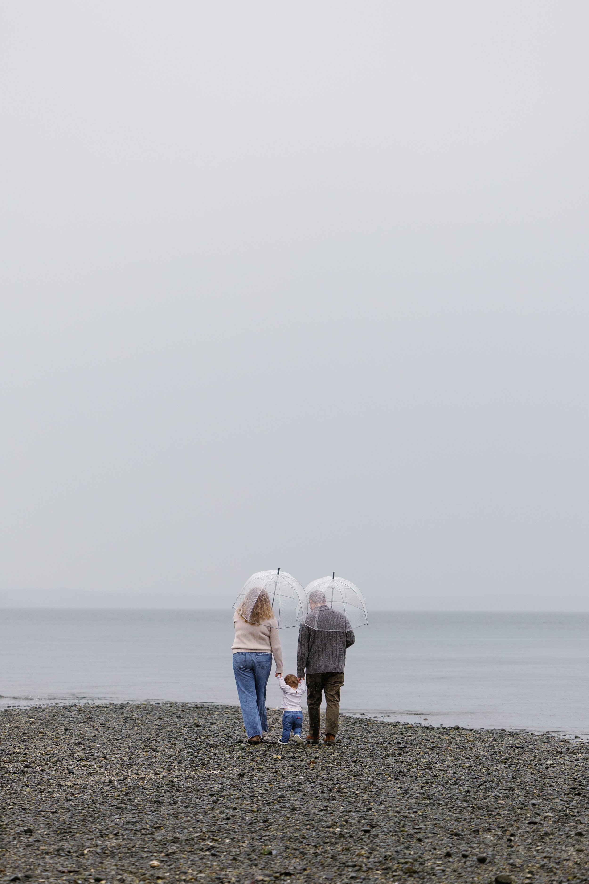 Laura-Brooks-Art-Outdoor-Family-Portraits-Seattle.jpg