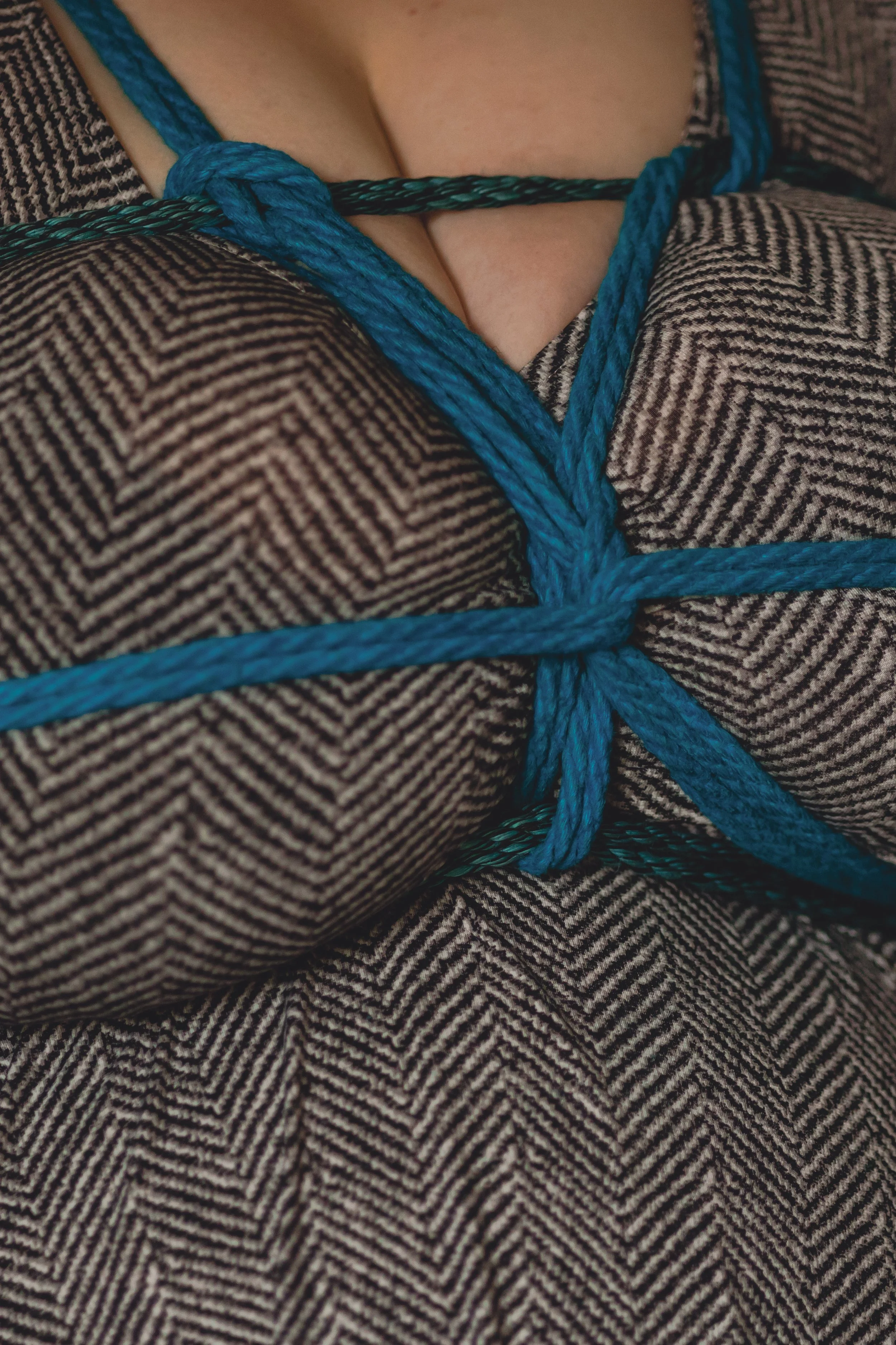 Laura-Brooks-Art-Rope-Boudoir-Photography-Seattle.jpg