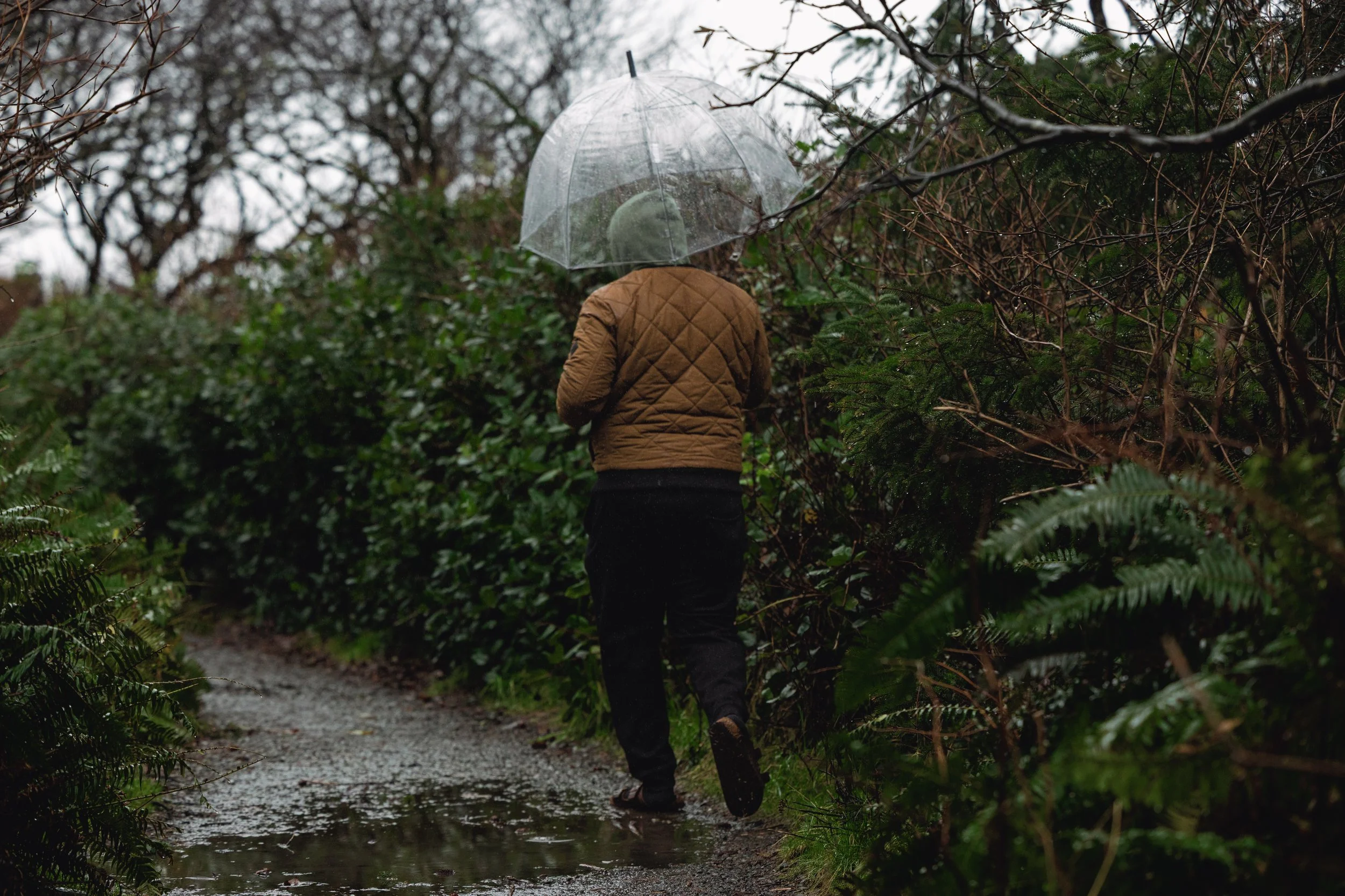 Trans and non-binary inclusive family photography in Seattle