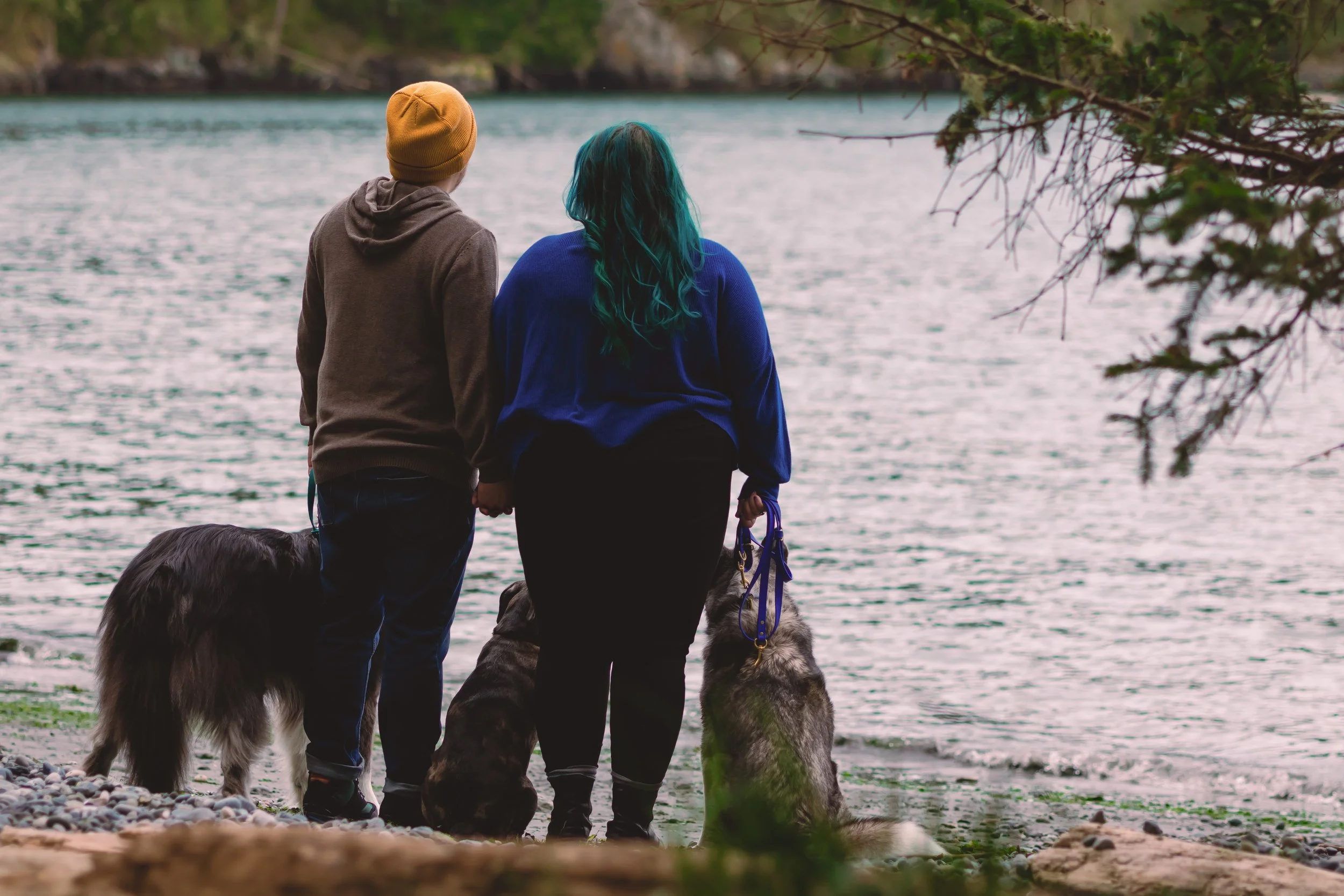 Laura-Brooks-Art-Outdoor-Family-Photography-Whidbey-Island.JPG