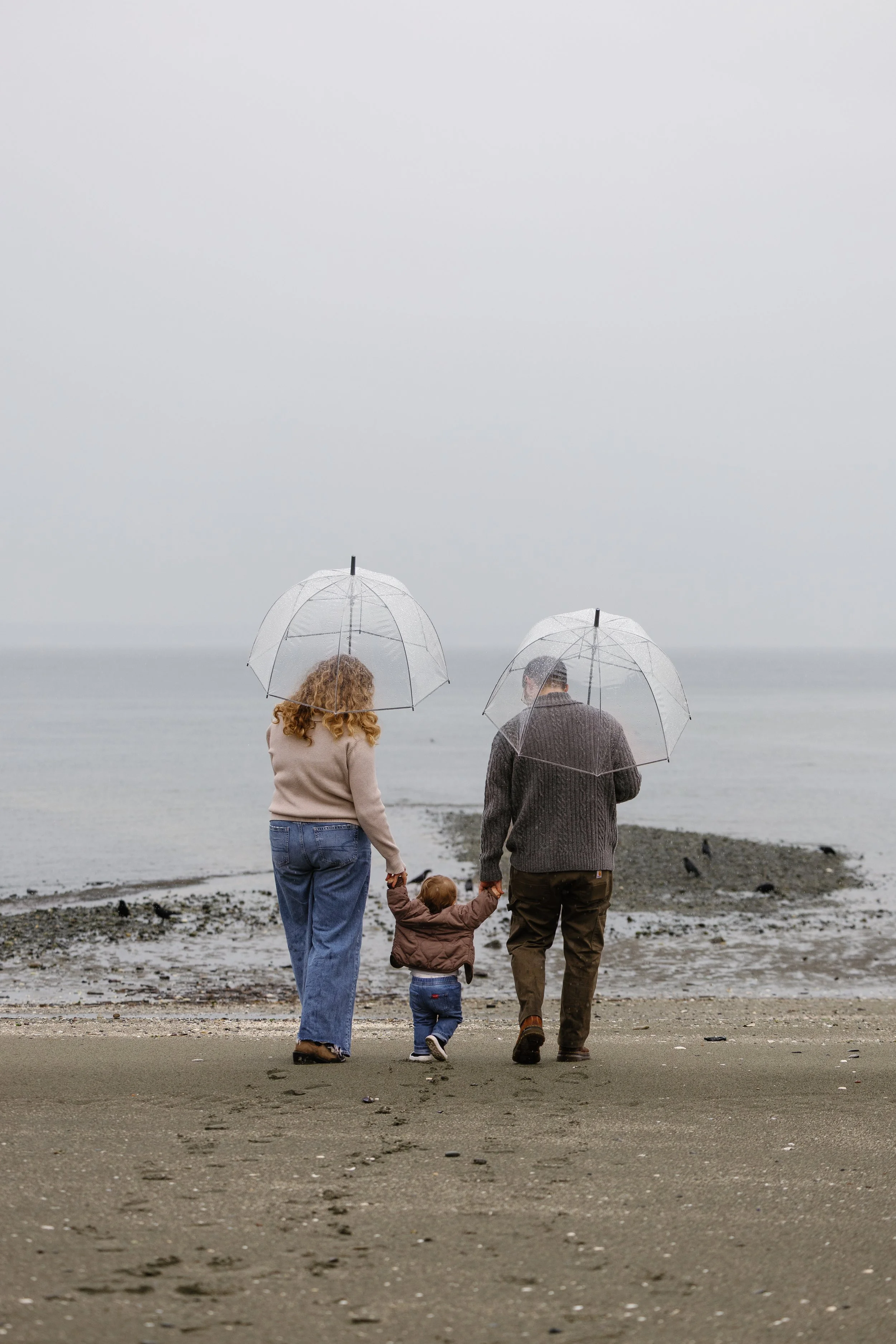 Laura-Brooks-Art-Outdoor-Family-Portraits-Seattle.jpg