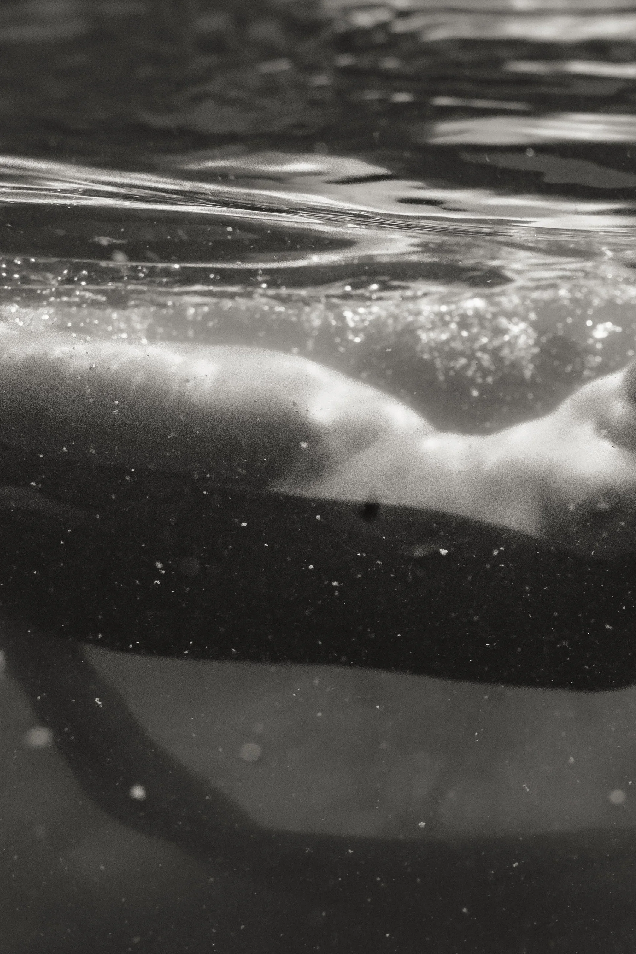 Laura-Brooks-Art-Water-Outdoor-Boudoir-Seattle-4.webp