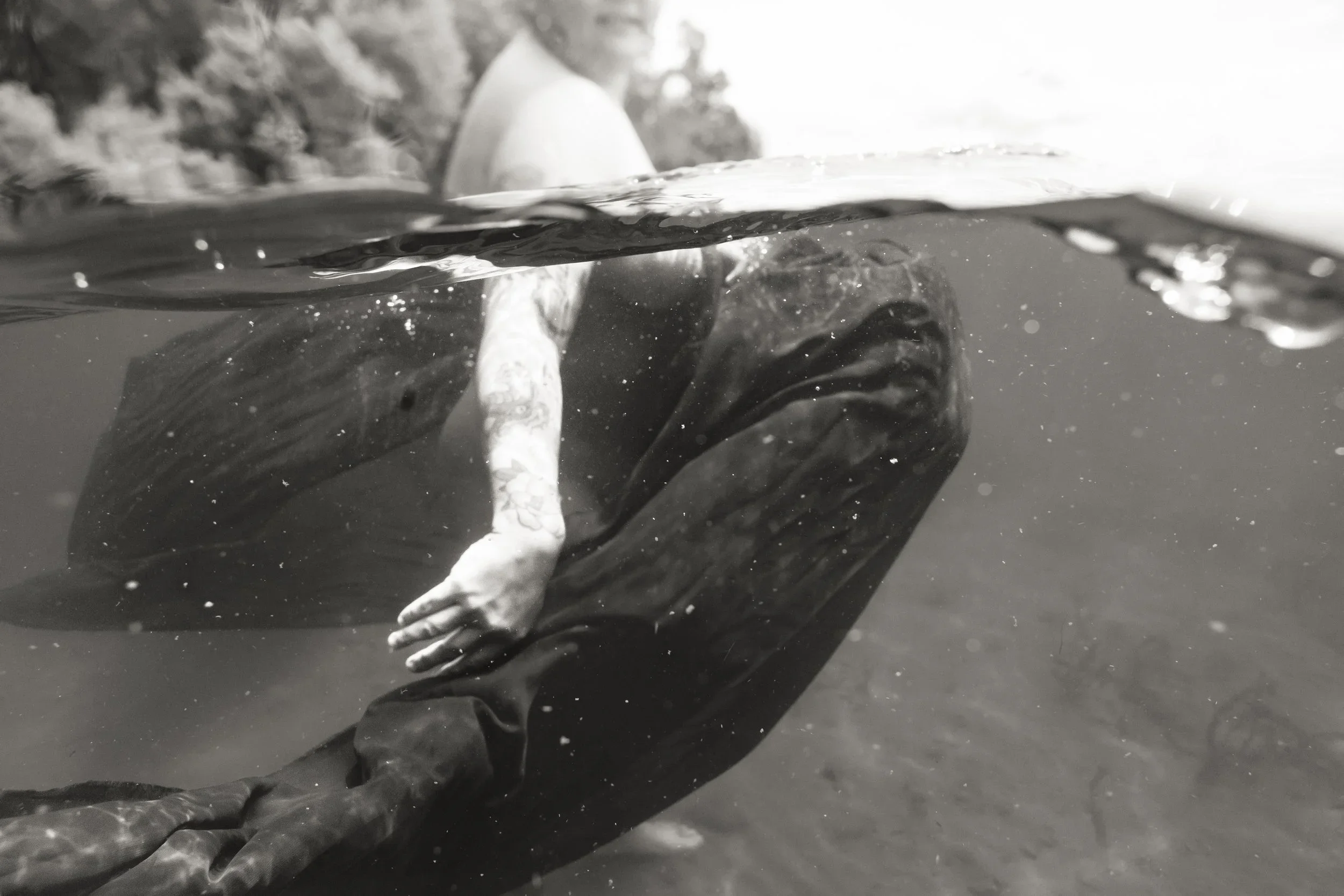 Laura-Brooks-Art-Water-Outdoor-Boudoir-Seattle-8.webp