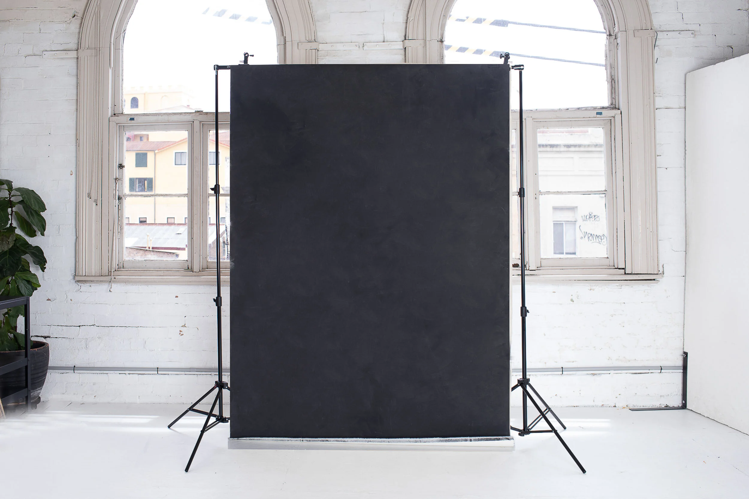 "SUE" Hand-painted backdrop