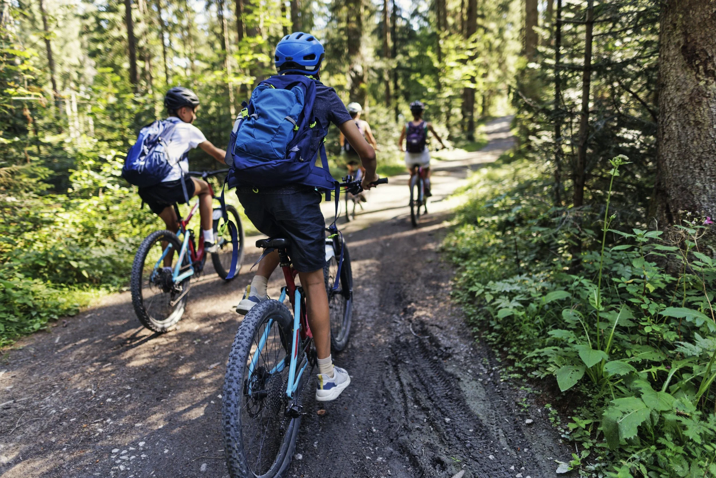 Children riding bikes on a forest trail with tall trees and lush greenery.