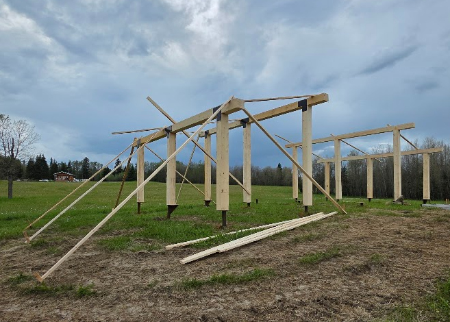 Star Timber 1.png