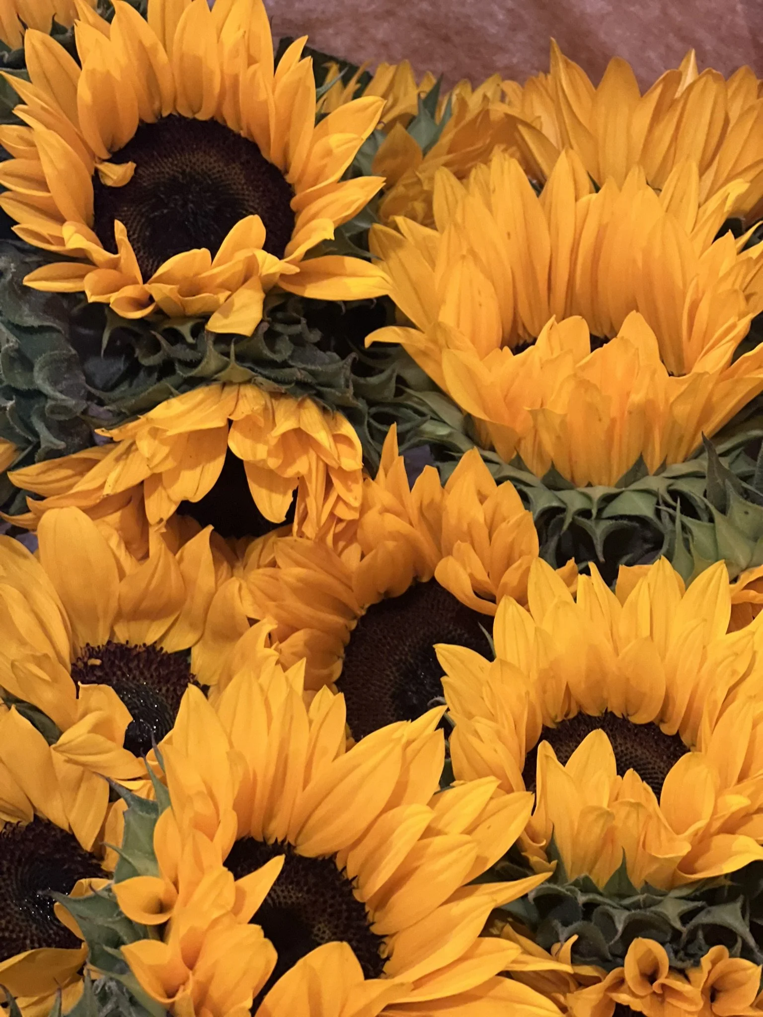 IMG_9965.JPEG