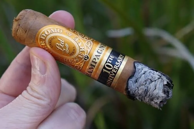 Perdomo 10th Anniv. Champagne 6X54 Epicure Mellow