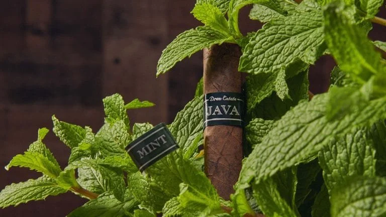 Java Mint Corona 5X42 Medium