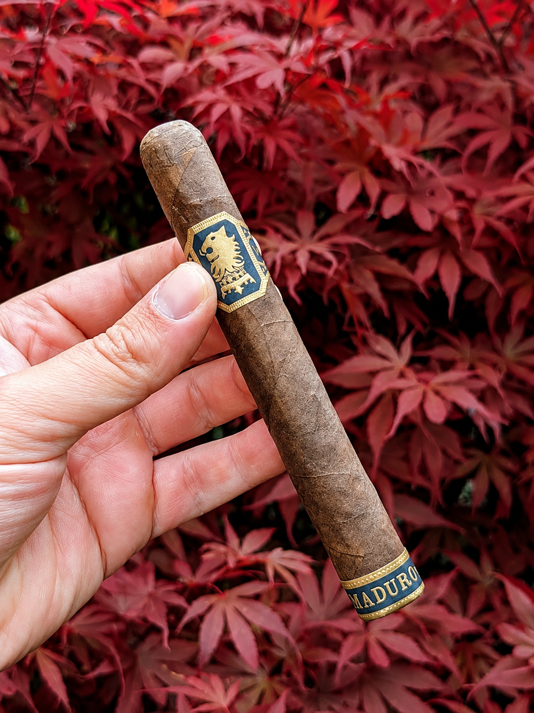 Undercrown Maduro 5.6X46 Corona Viva Med-Full
