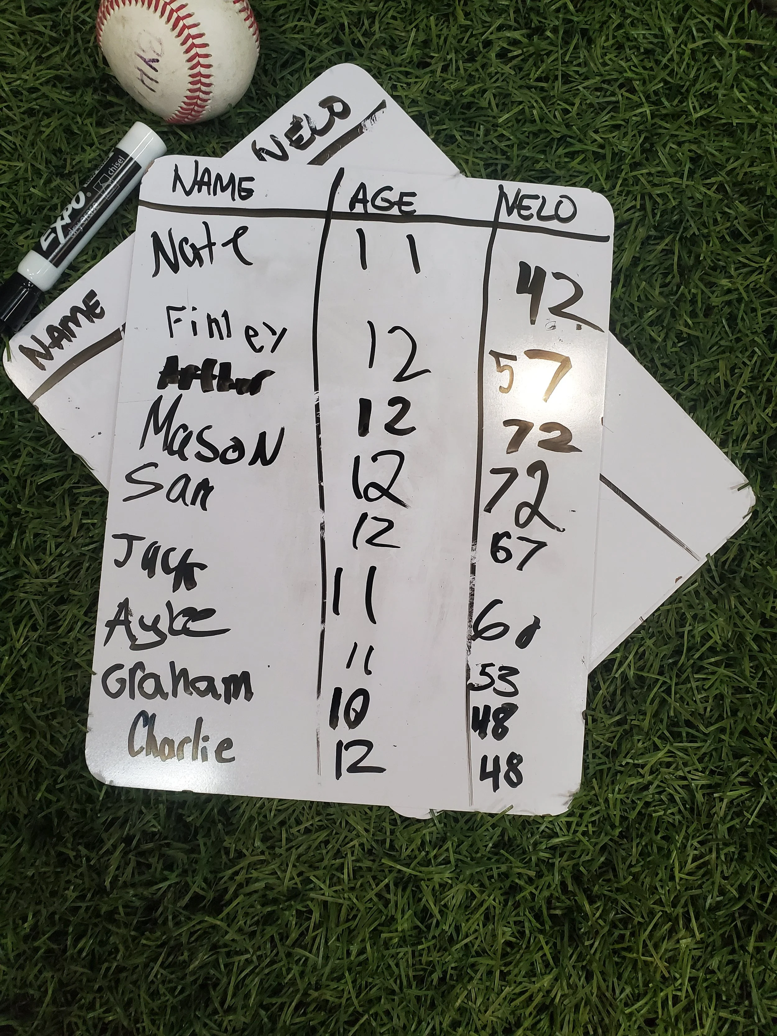 Whiteboard with handwritten list of names, ages, and numbers, positioned on grass with a baseball and marker nearby.