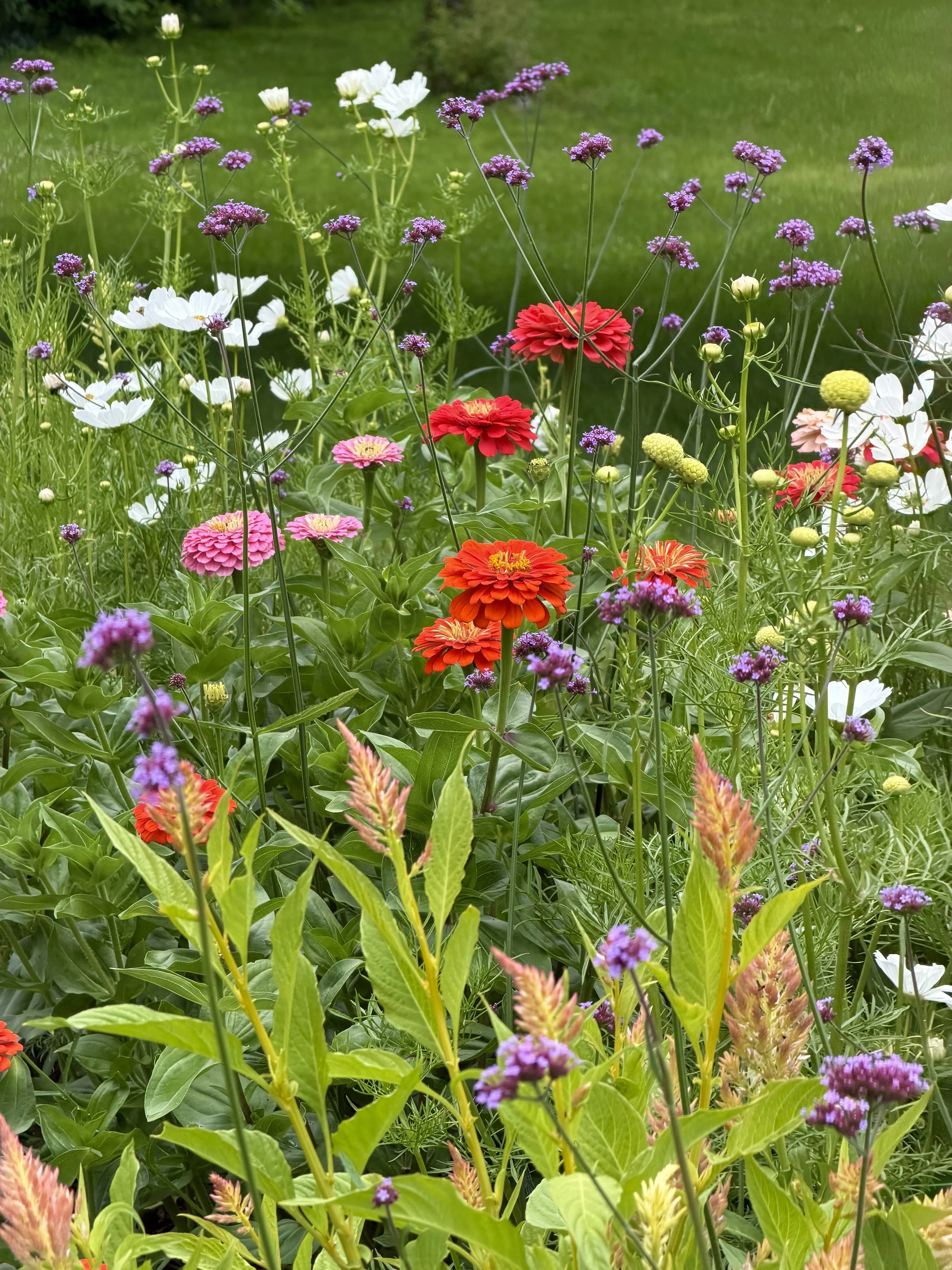 meadowlark garden studio concord massachusetts fine garden design