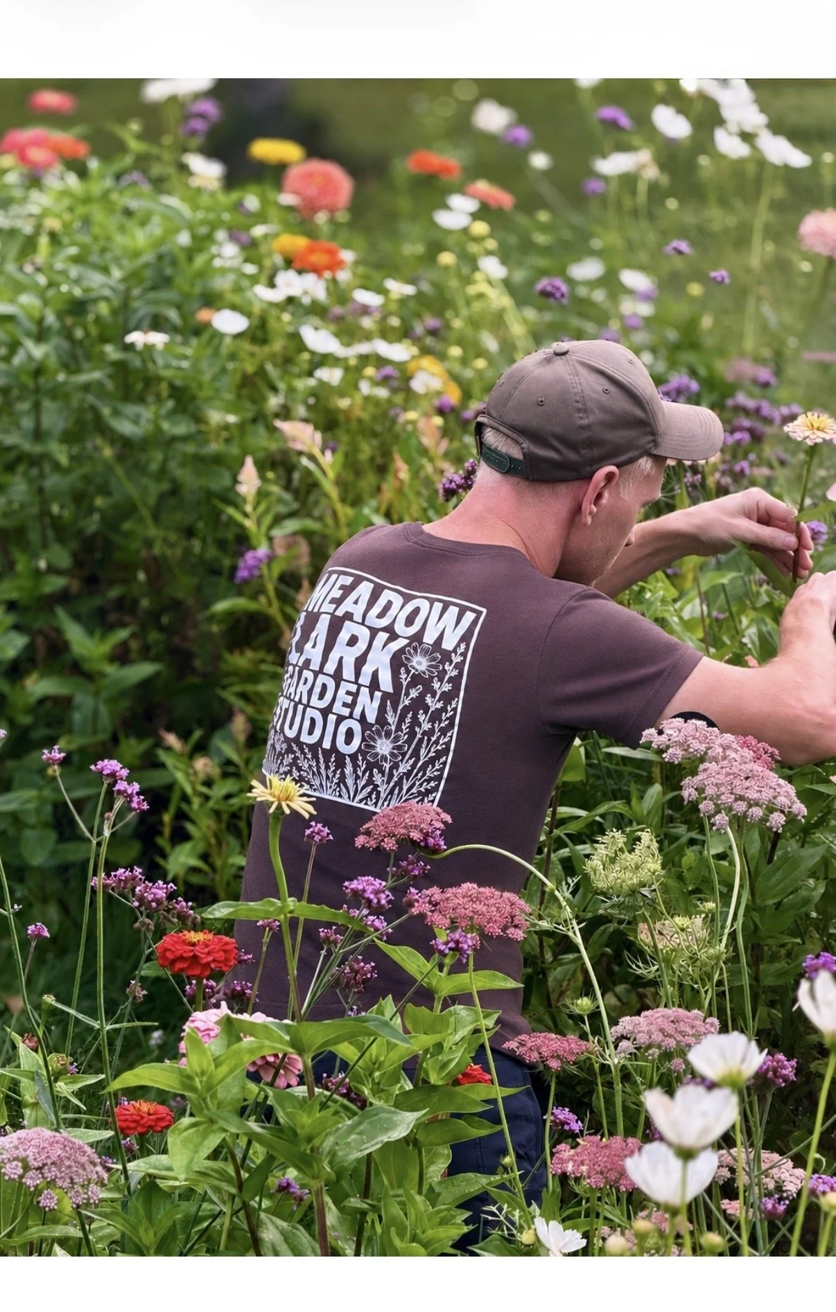 A man wearing a brown cap and a T-shirt with the Meadow Park Garden Studio logo is tending to a variety of colorful flowers in a garden with lush green foliage.