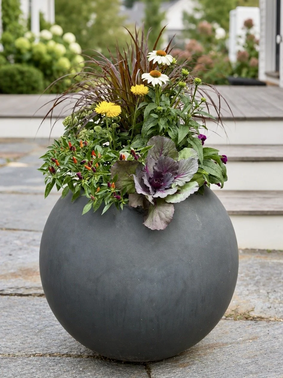 Fall Planters - Fall Containers - Lincoln Massachusetts