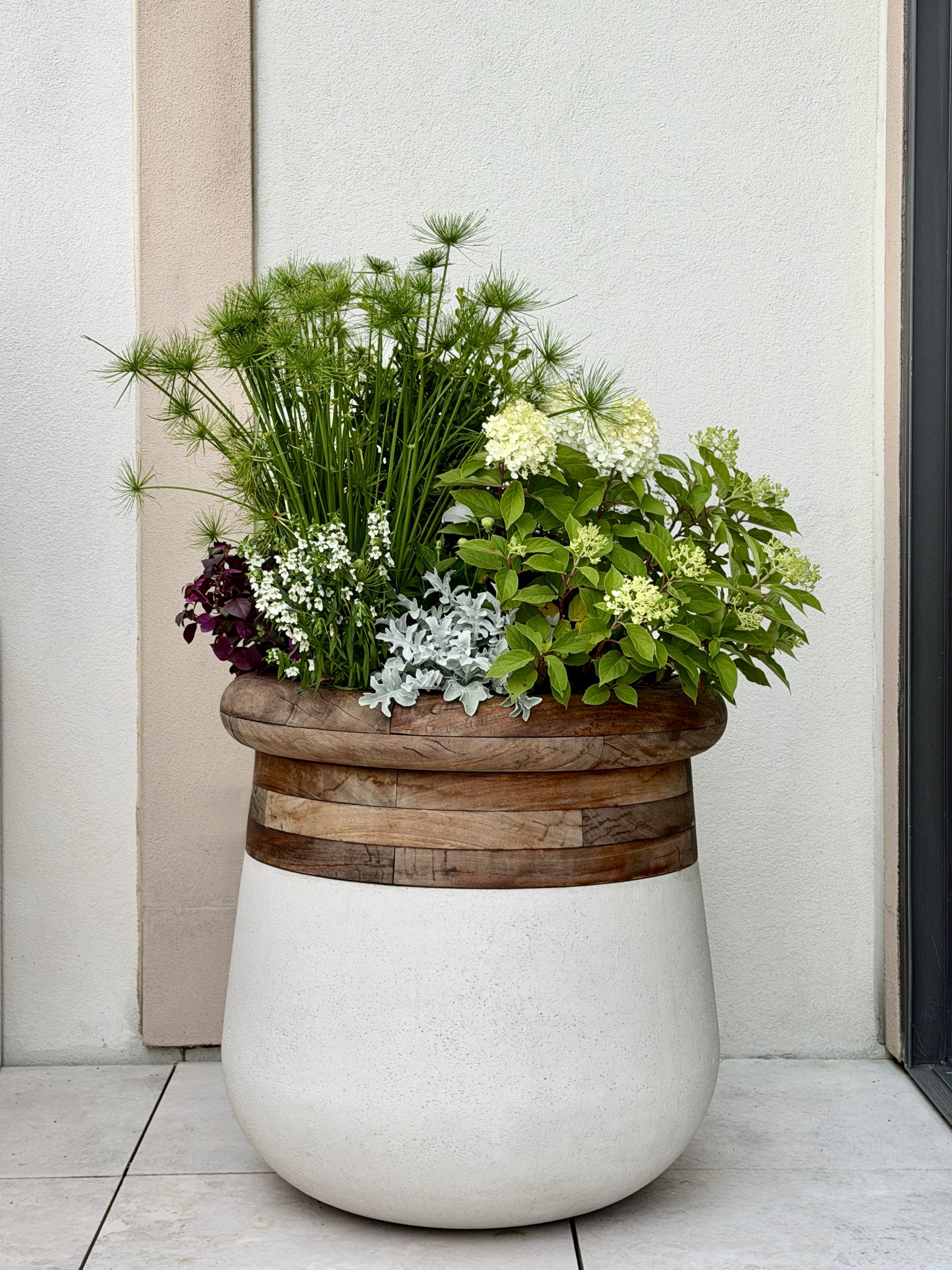 Brookline MA Seasonal Container Design