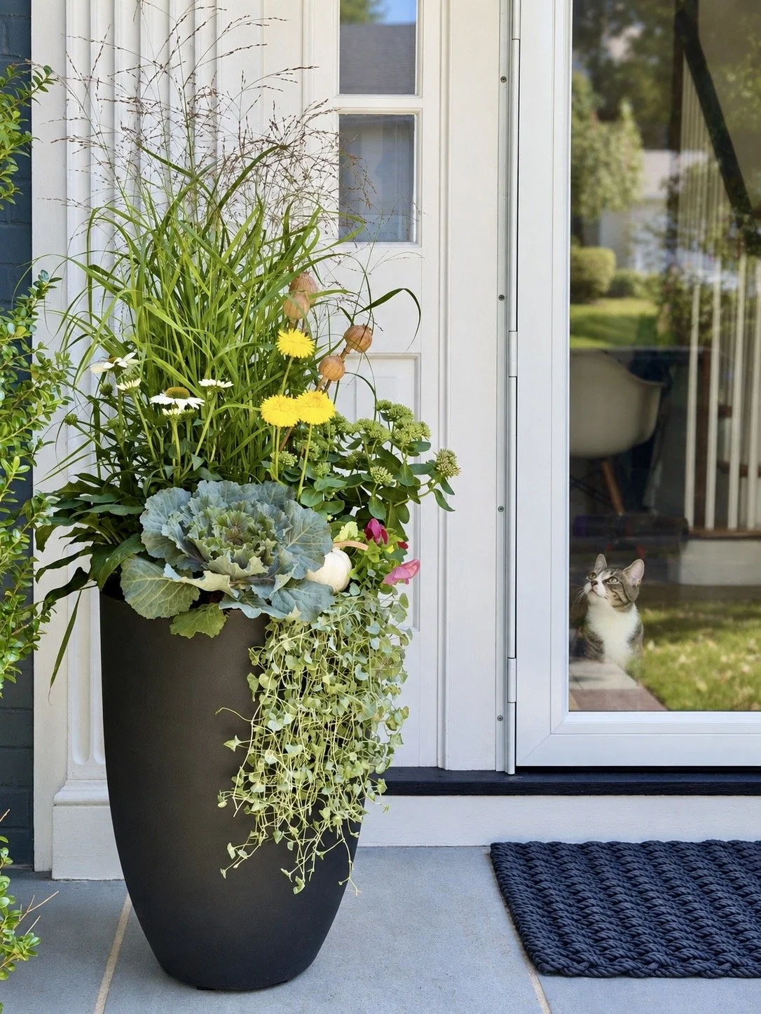 Fall Planters - Fall Containers - Newton Massachusetts