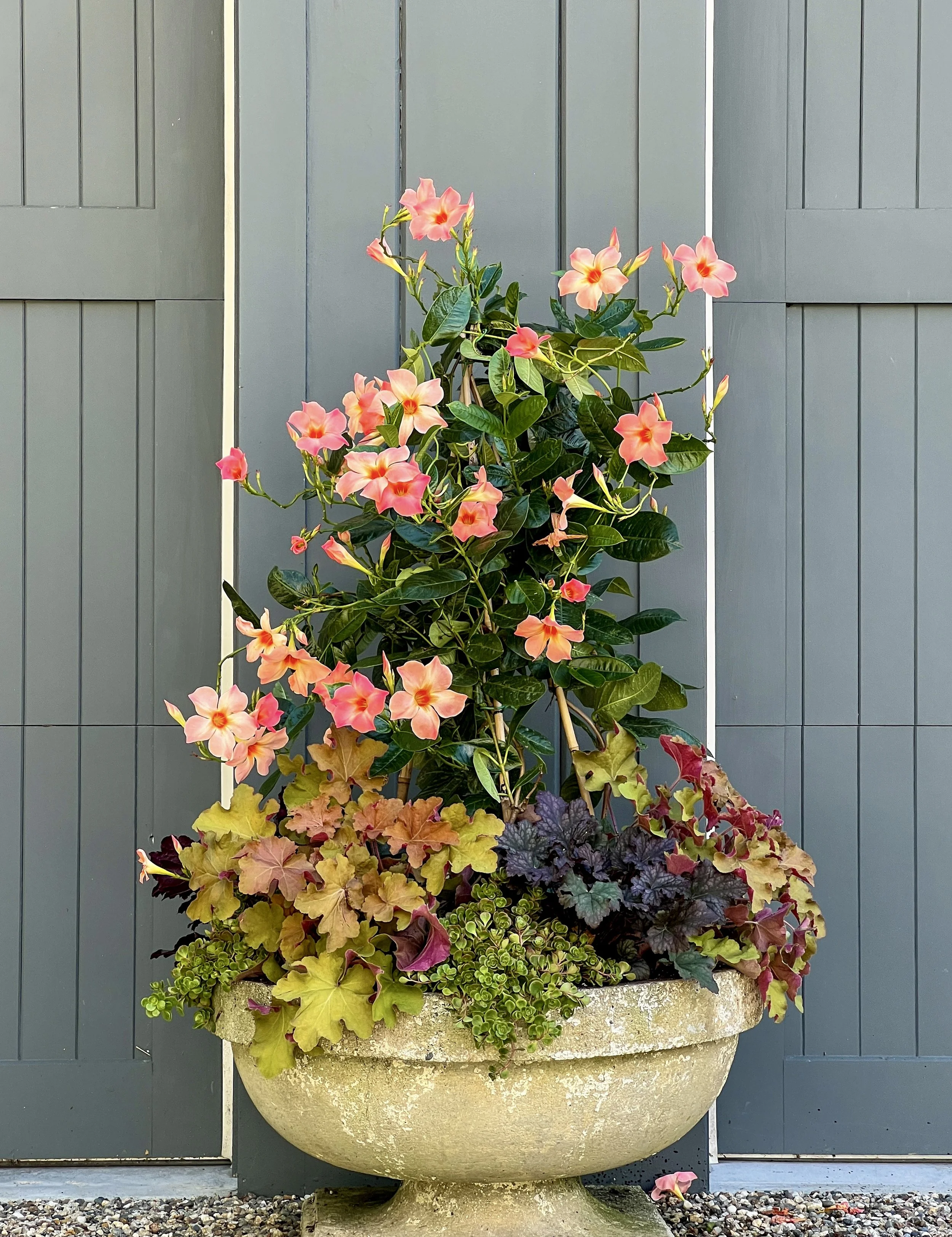 meadowlark garden studio fall container