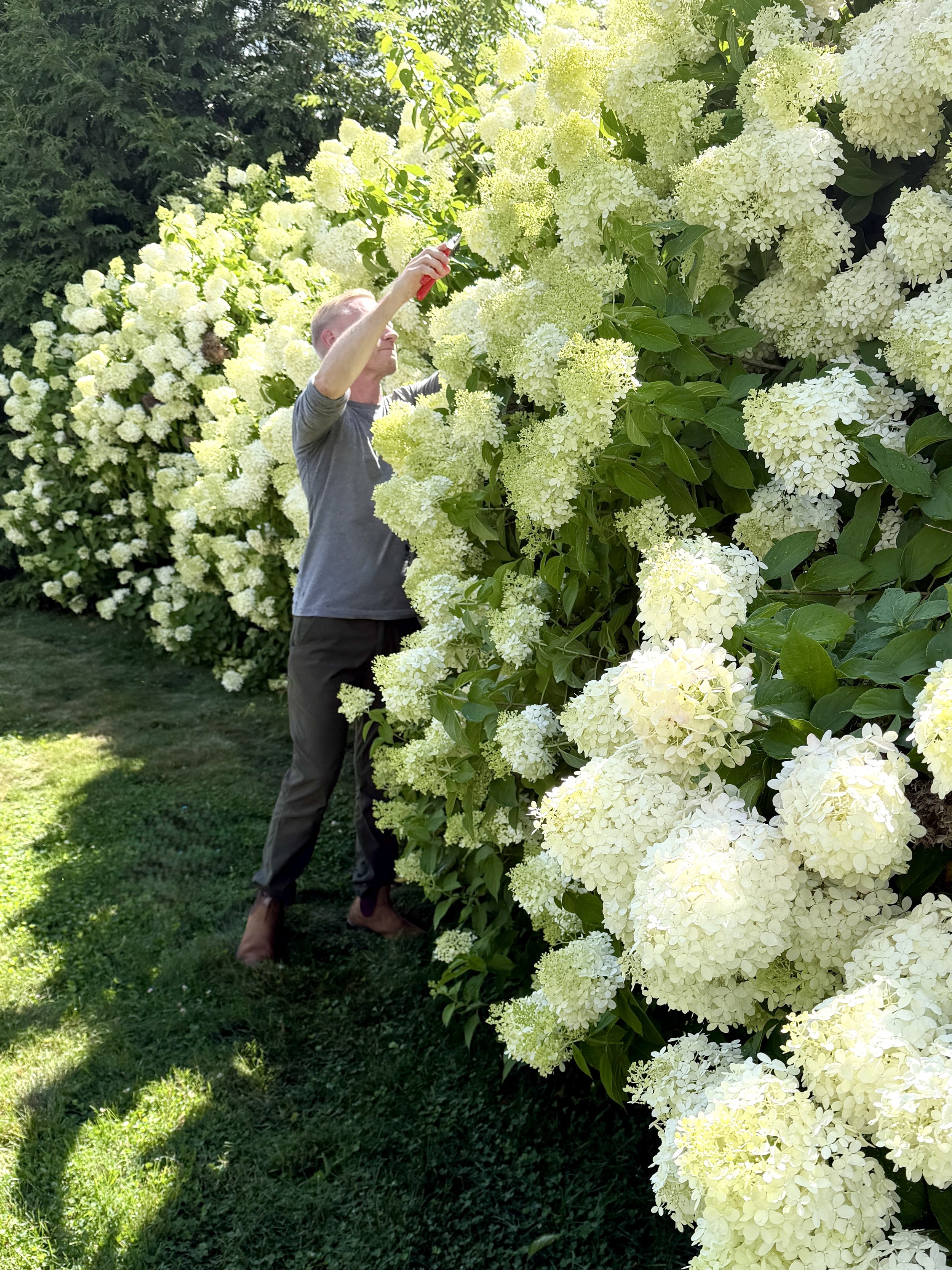 Brookline MA Fine Garden Maintenance