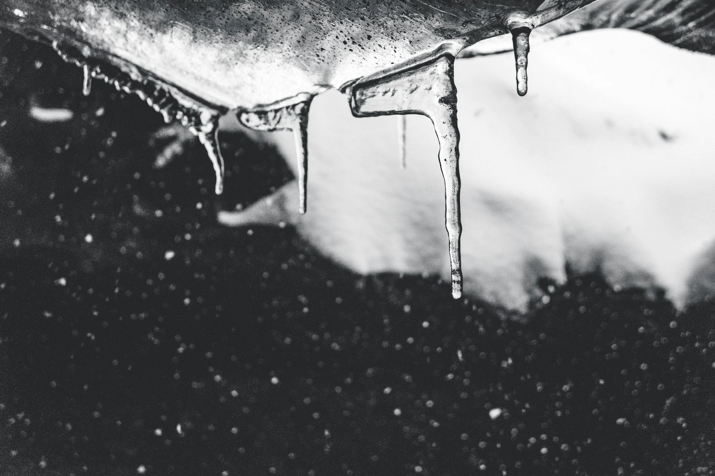 Black ice saved my life.