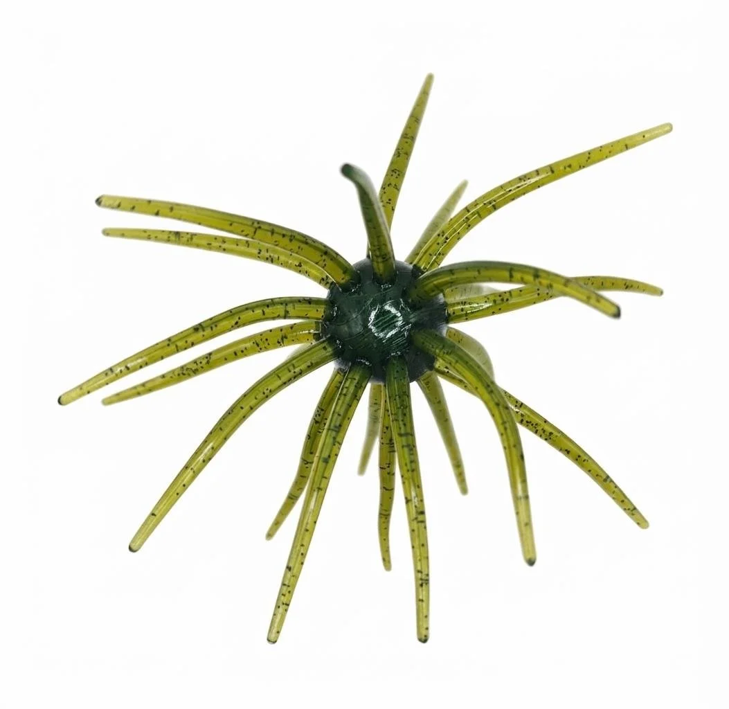 25mm Watermelon Seed.jfif