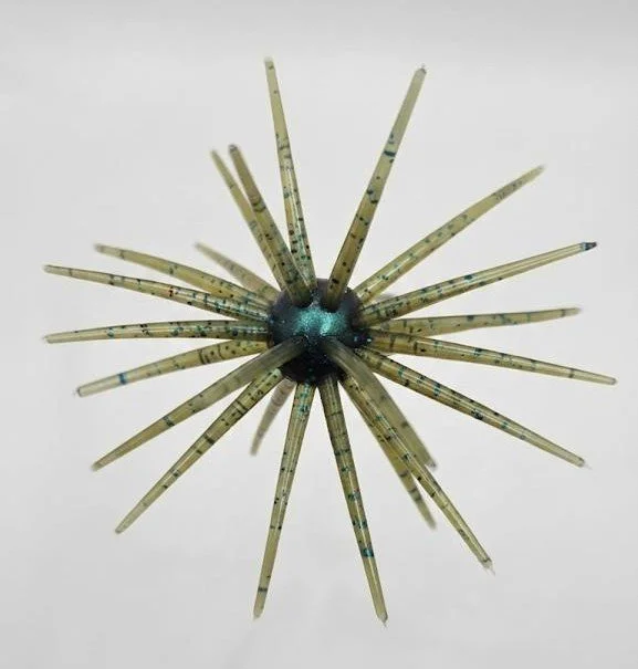 20mm Bama Majic.jpg