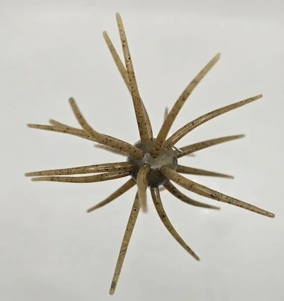 20mm Desert Tan.jpg