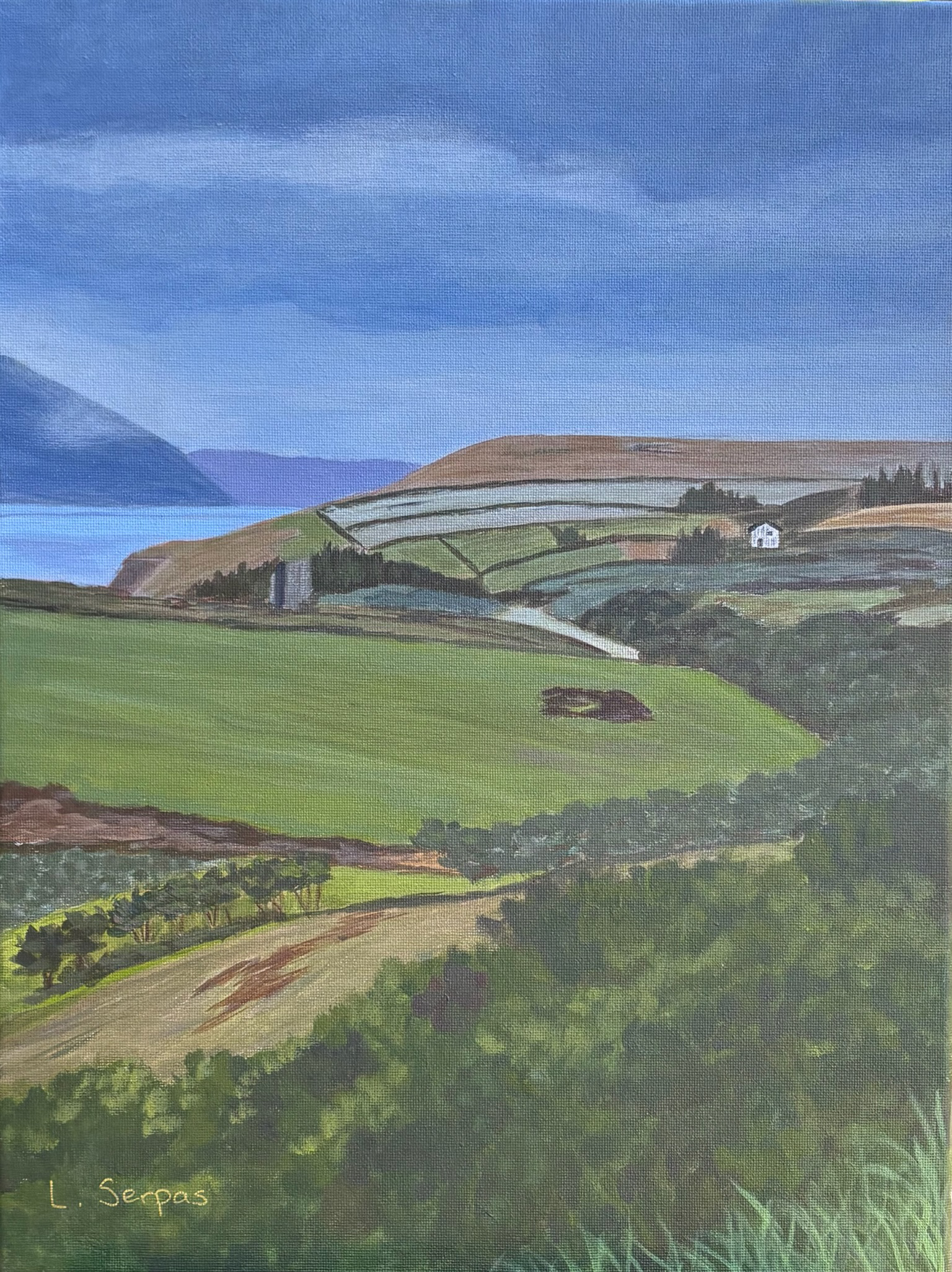 Ireland in Spring		12" x 16"	Acrylic on canvas