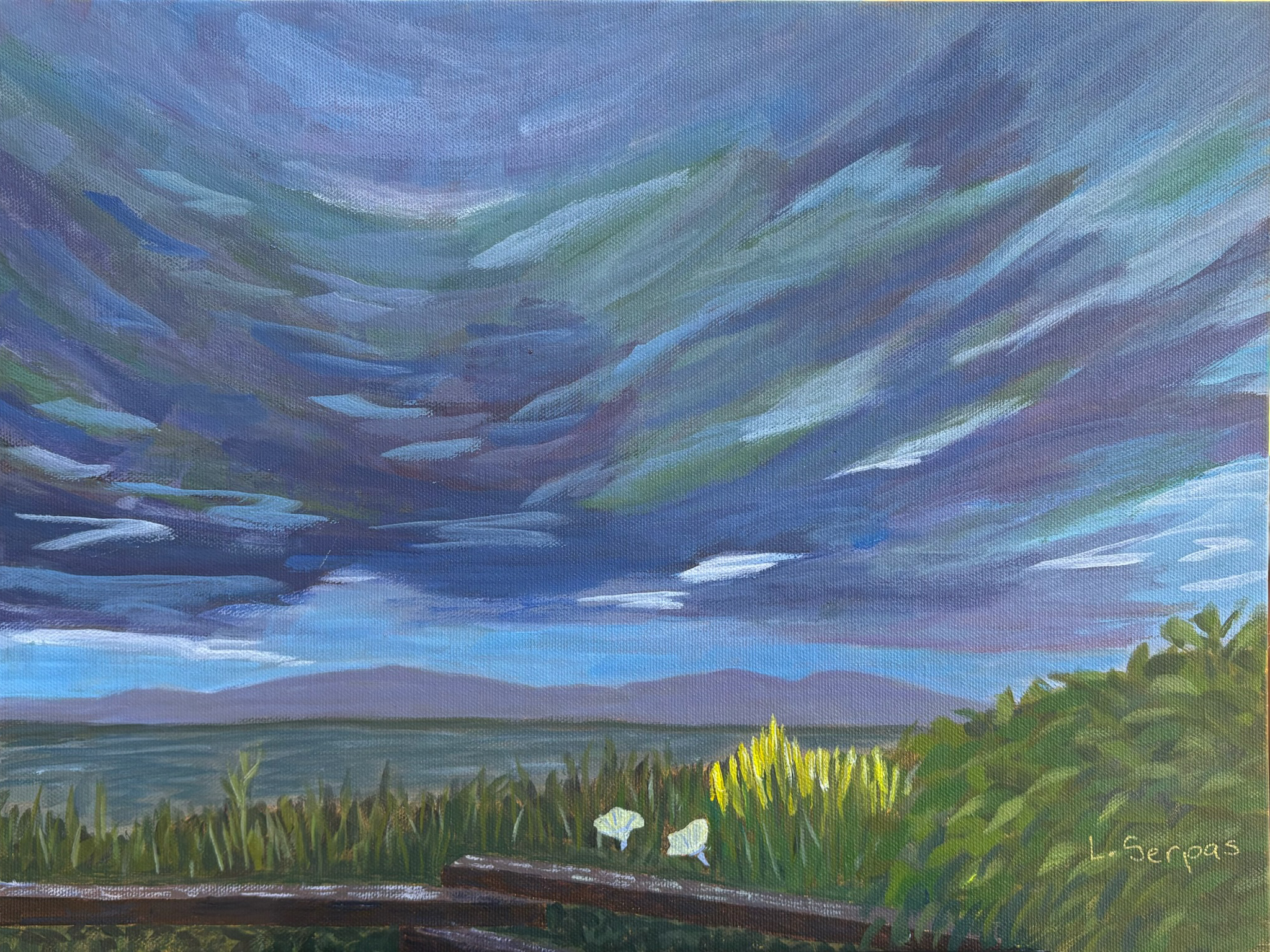 Evening - Victoria Shoreline		16" x 12"	Acrylic on canvas
