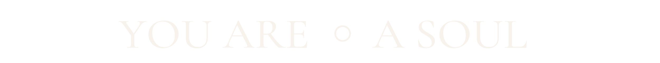 Text saying 'YOU ARE A SOUL' with white font on a black background.
