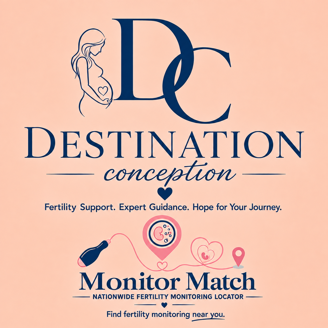 Destination Conception LLC