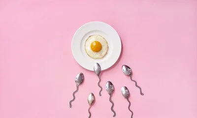 Complete Concierge Fertility Services