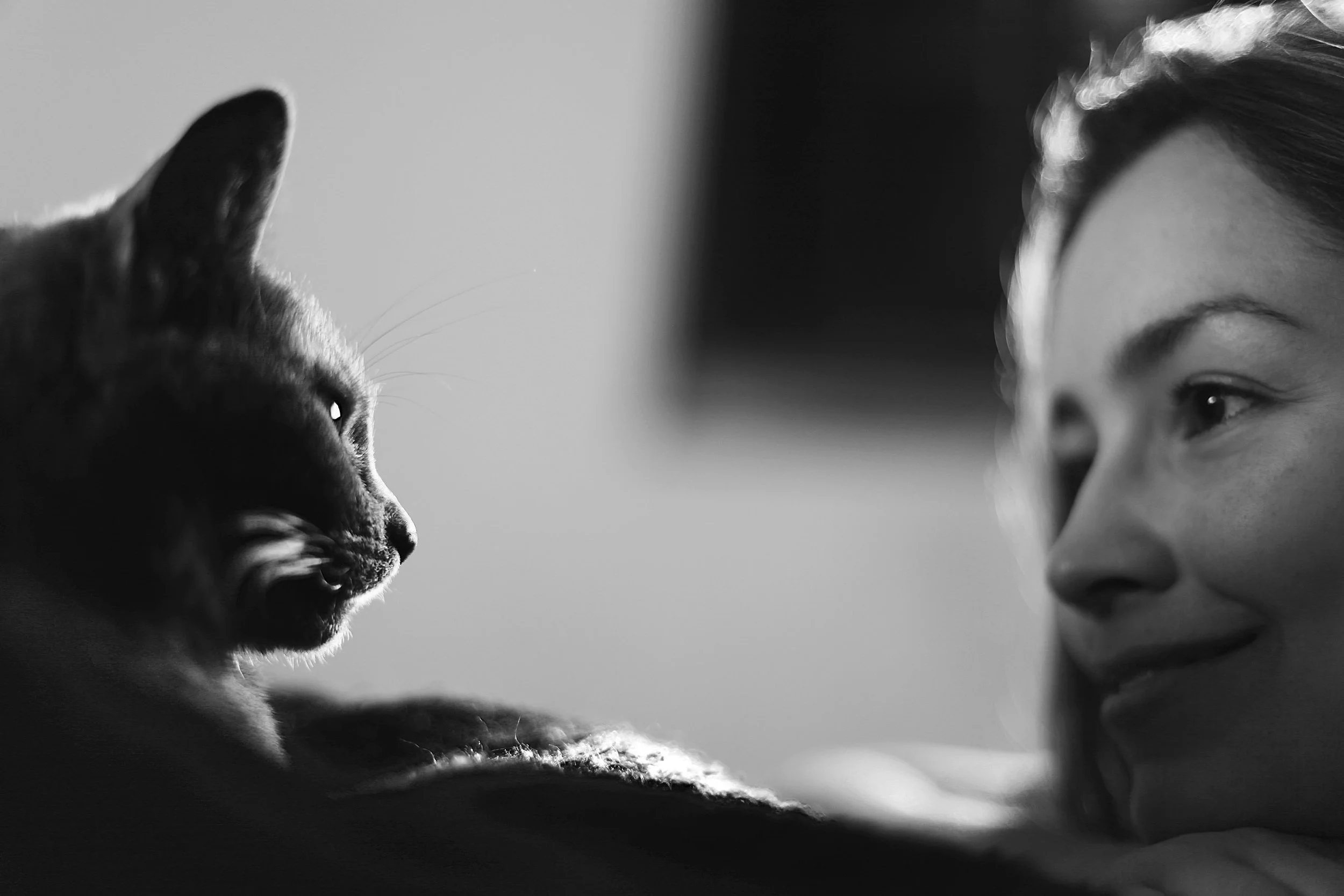 A young woman and a cat staring at each other closely, with the woman's face on the right and the cat's face on the left in black and white.