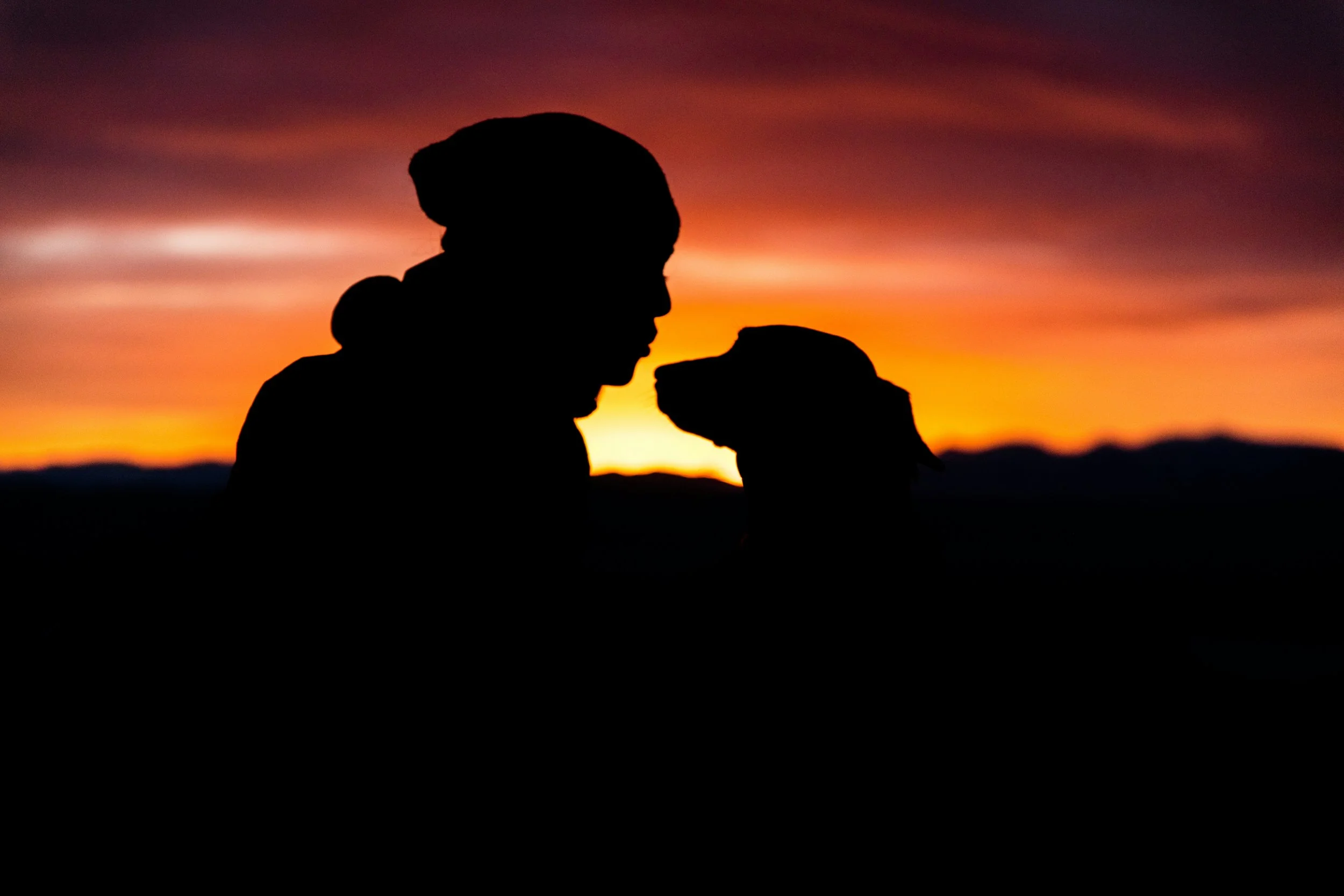Silhouette of a person with hair tied back, holding an animal, possibly a dog or a cat, against a colorful sunset sky.