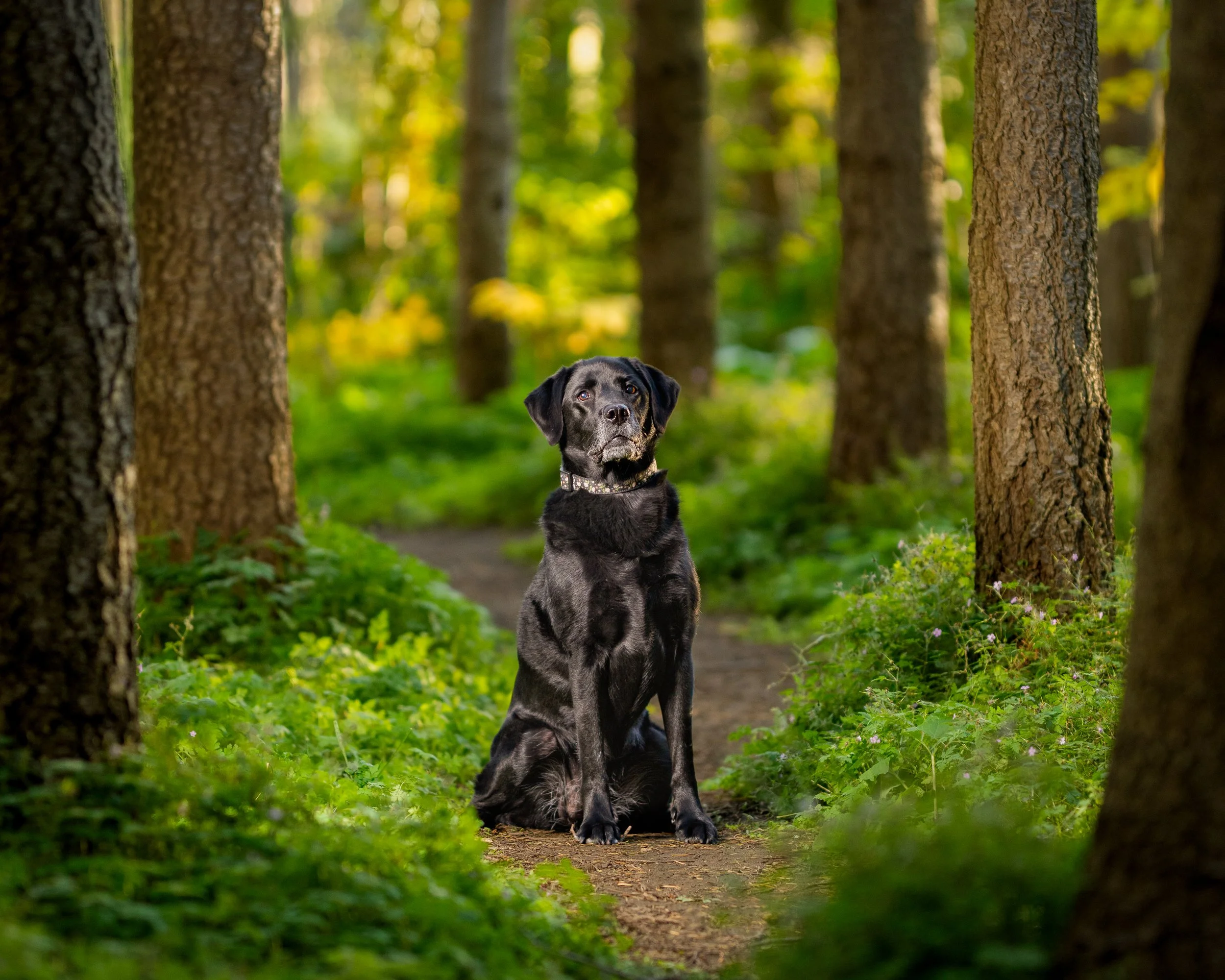 _DSC2556-Edit-Edit.jpg