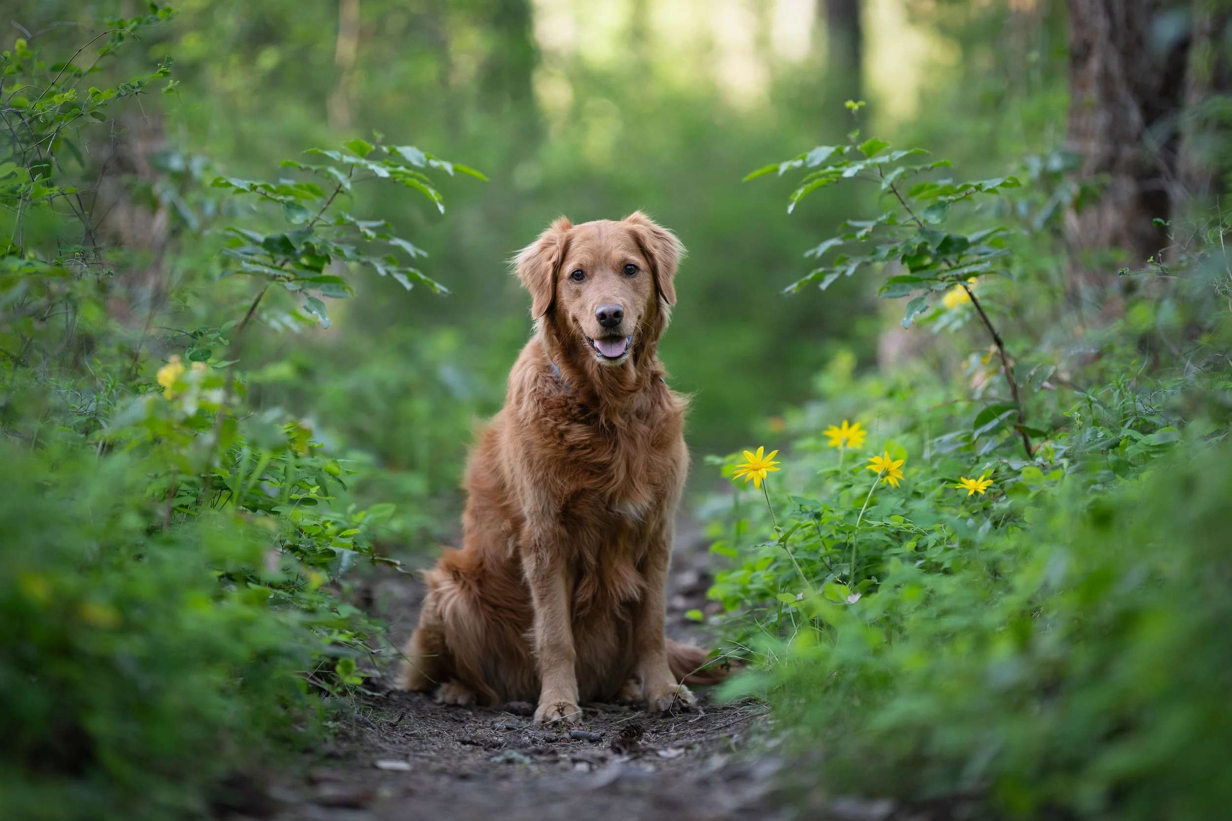 marley leaves 10.5MB.jpeg