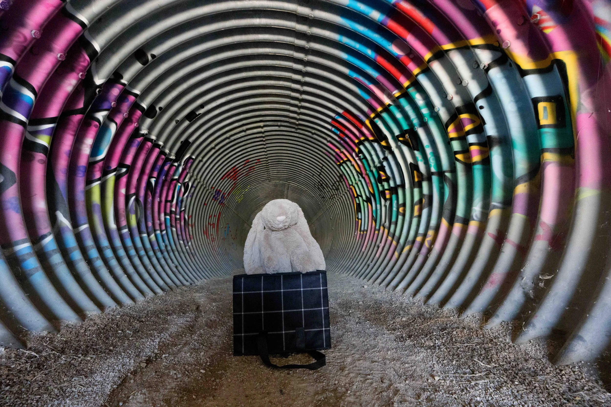 A teddy bear sitting inside a black cube-shaped container at the base of a tunnel made of colorful, graffiti-covered pipes.