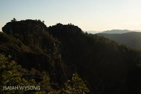 _DSF0627.jpg