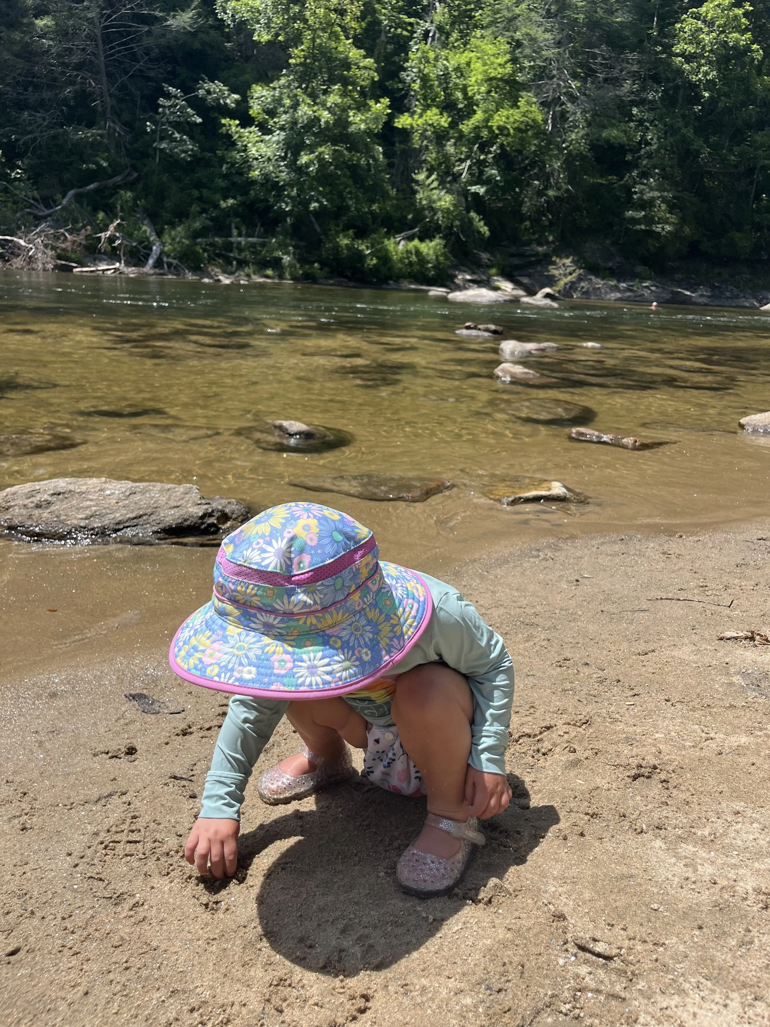 daphne in water.jpg
