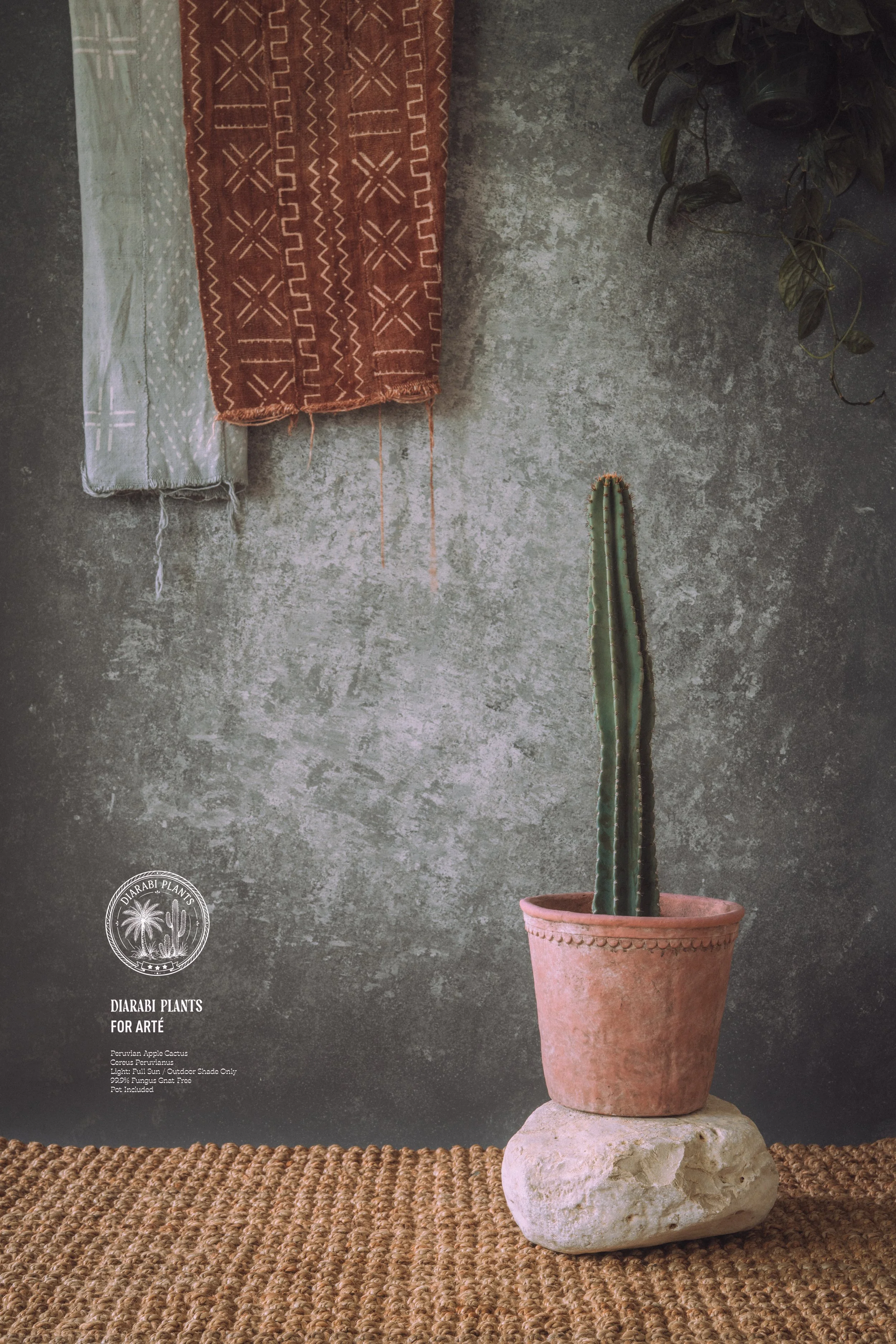 diarabi-plants-invent-20.jpg