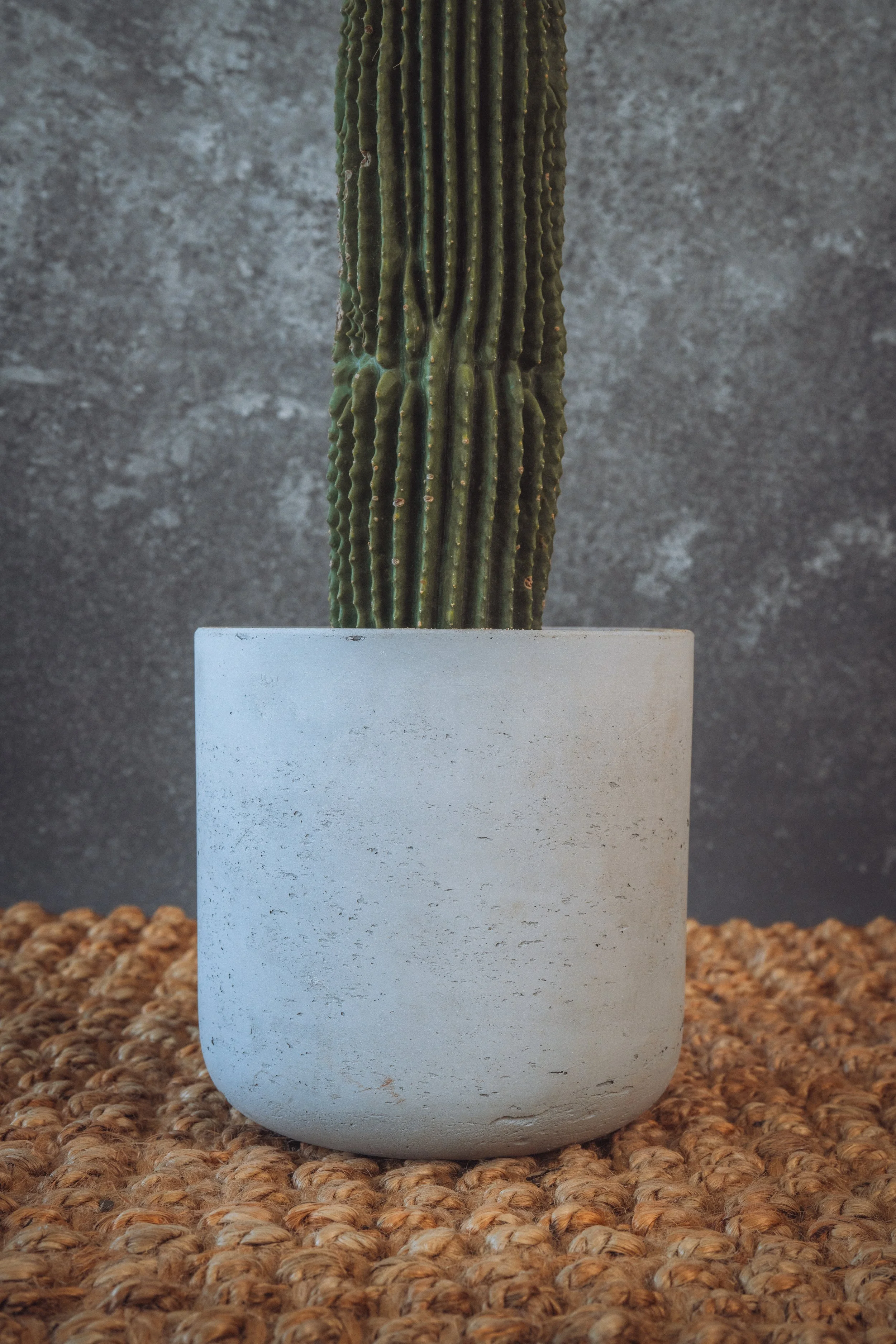 diarabi-plants-invent-71.jpg