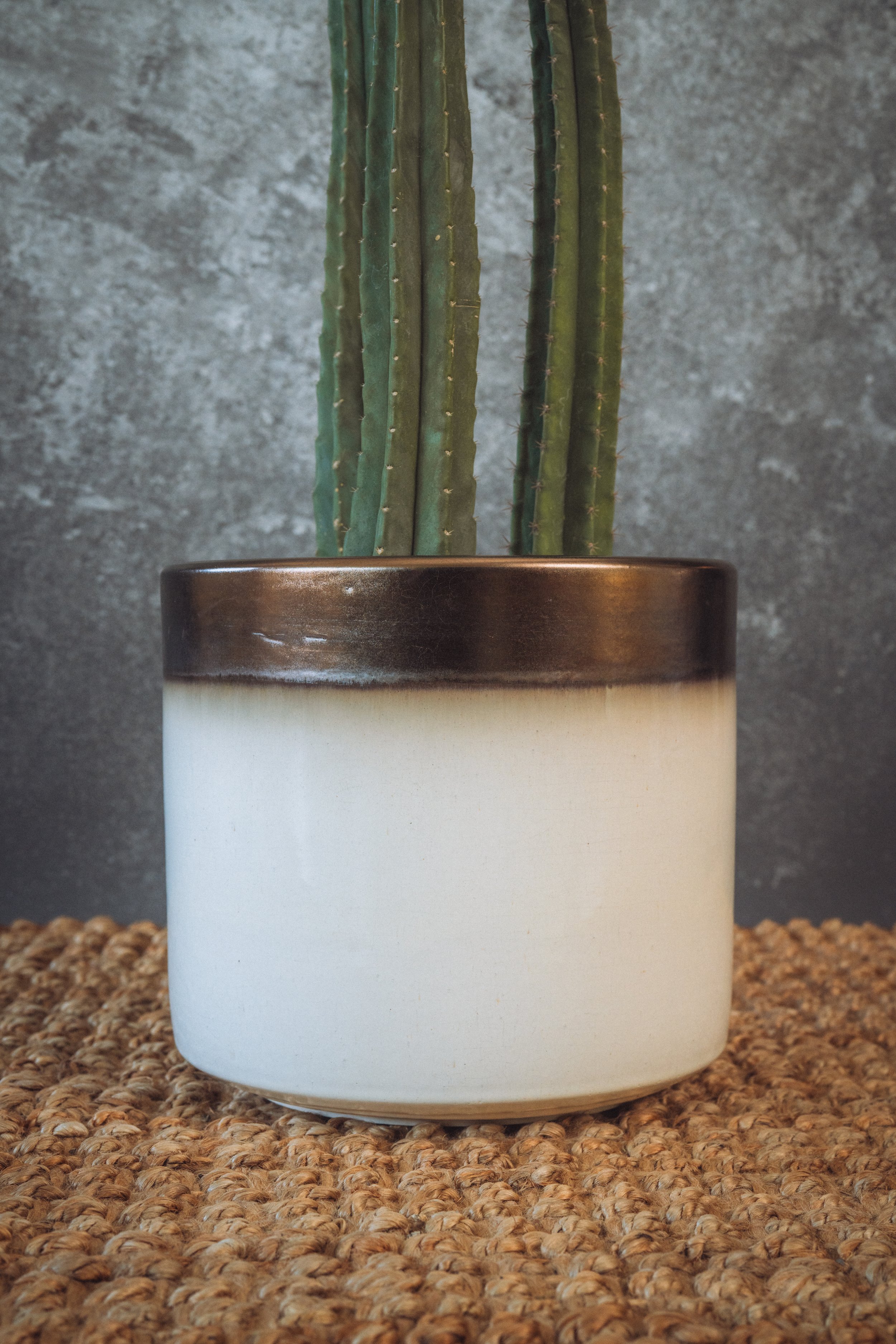 diarabi-plants-invent-54.jpg