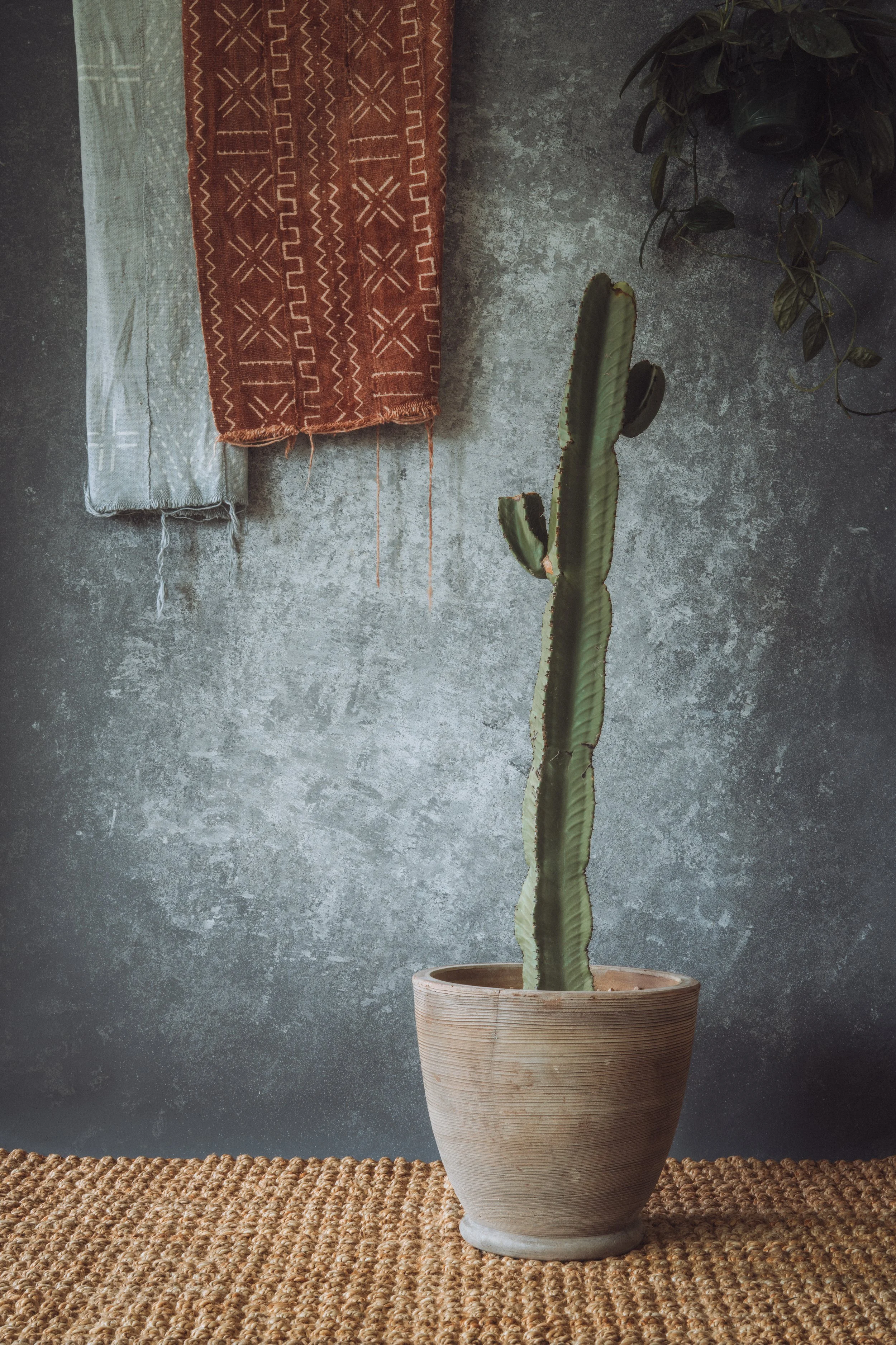 Euphorbia Ingens – Candelabra Tree