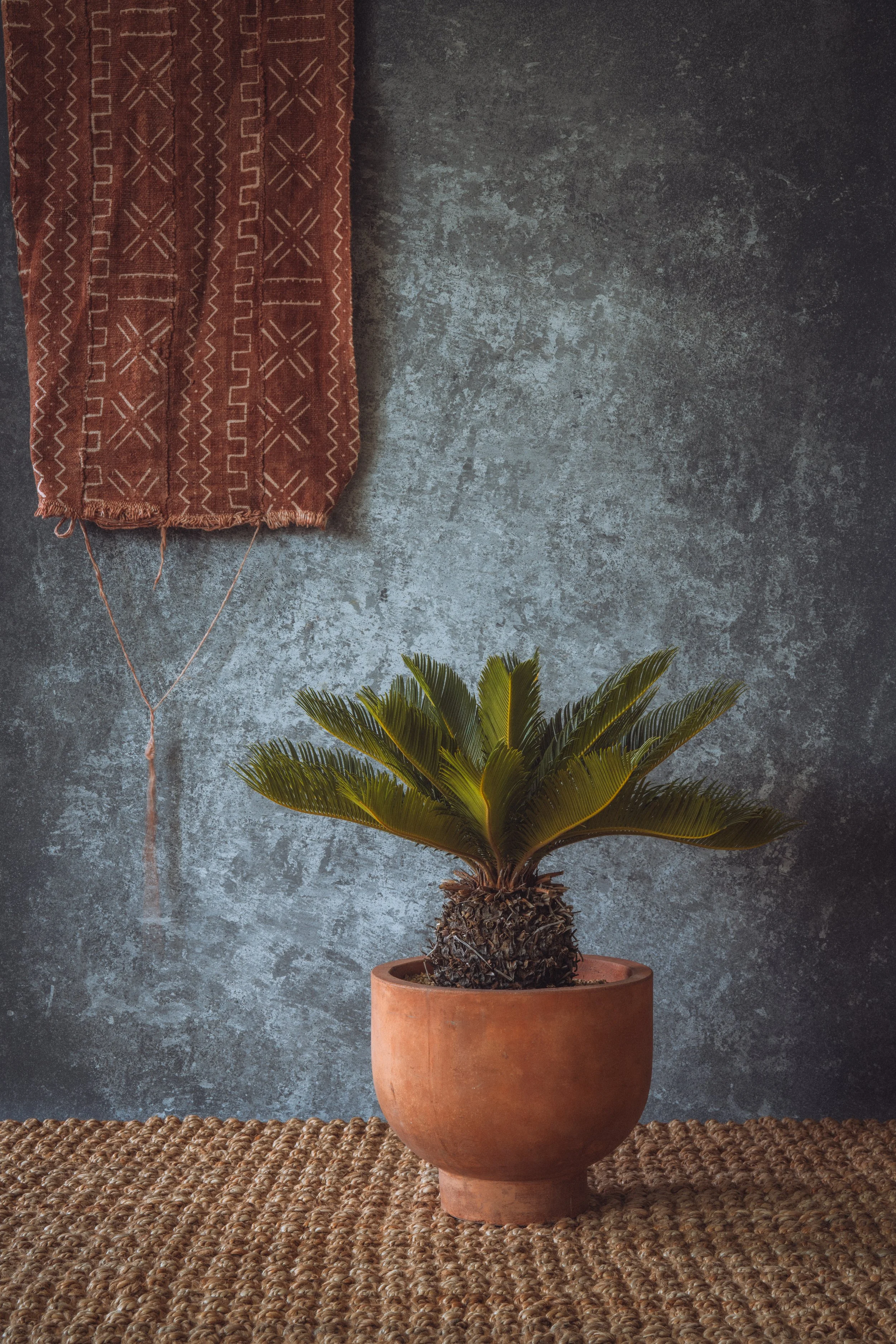 diarabi-plants-invent-104.jpg