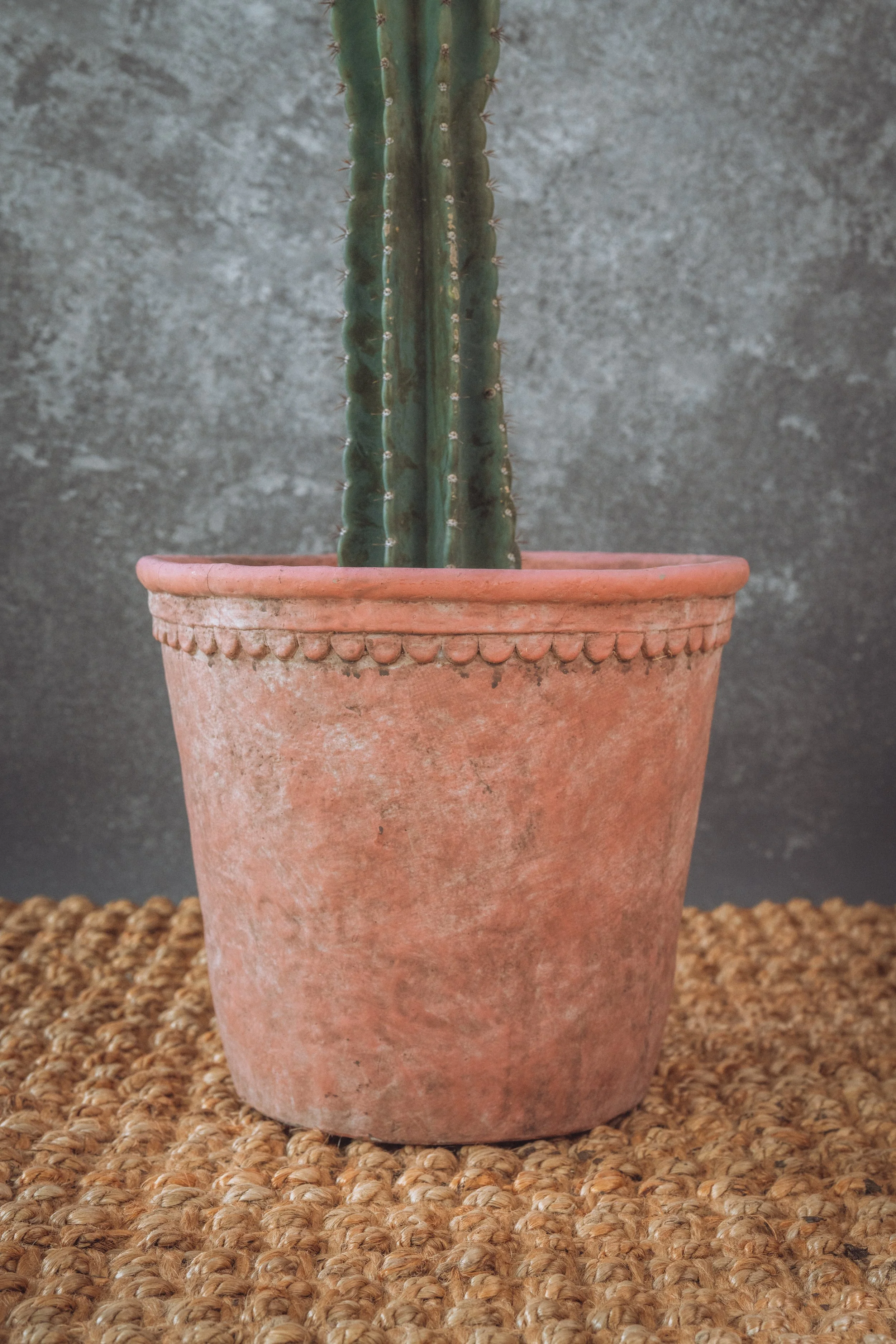 diarabi-plants-invent-26.jpg