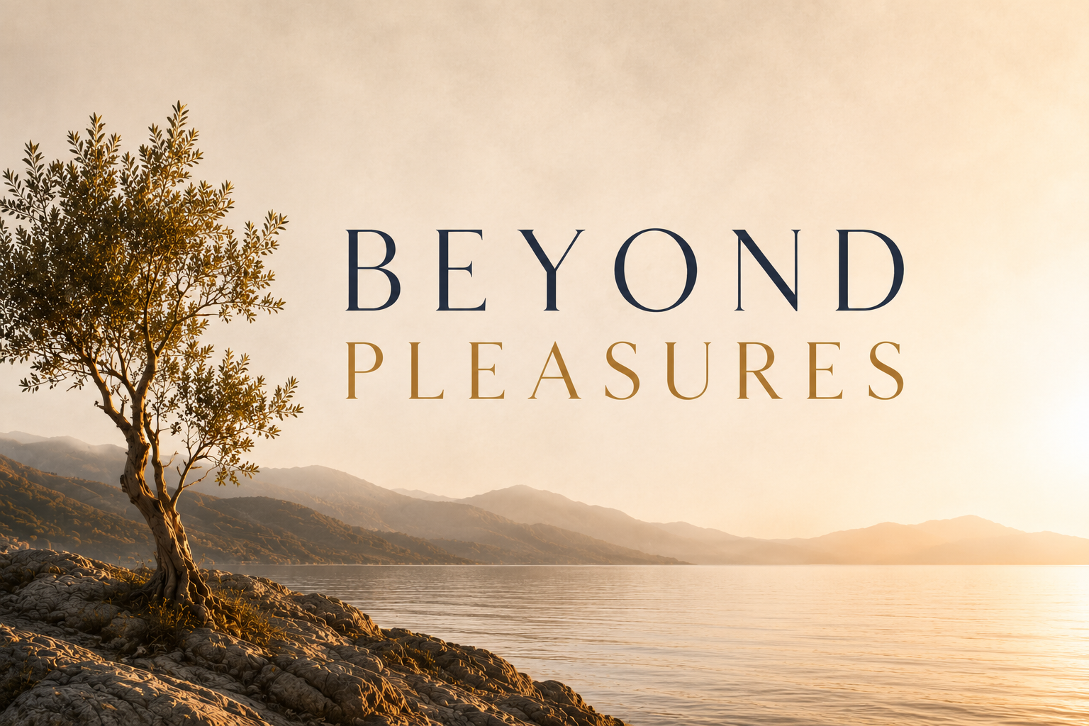 A New Bible Study Experience - Coming October 24th