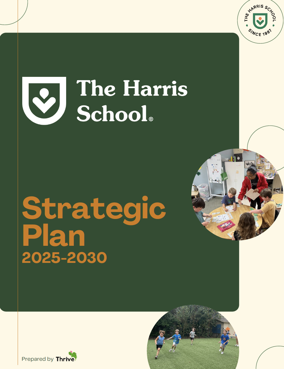 A picture of a non-profit strategic plan, Thrive created in Houston.