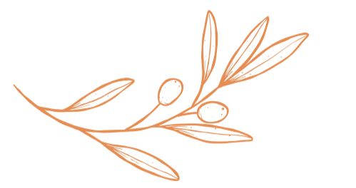 olive branch peace