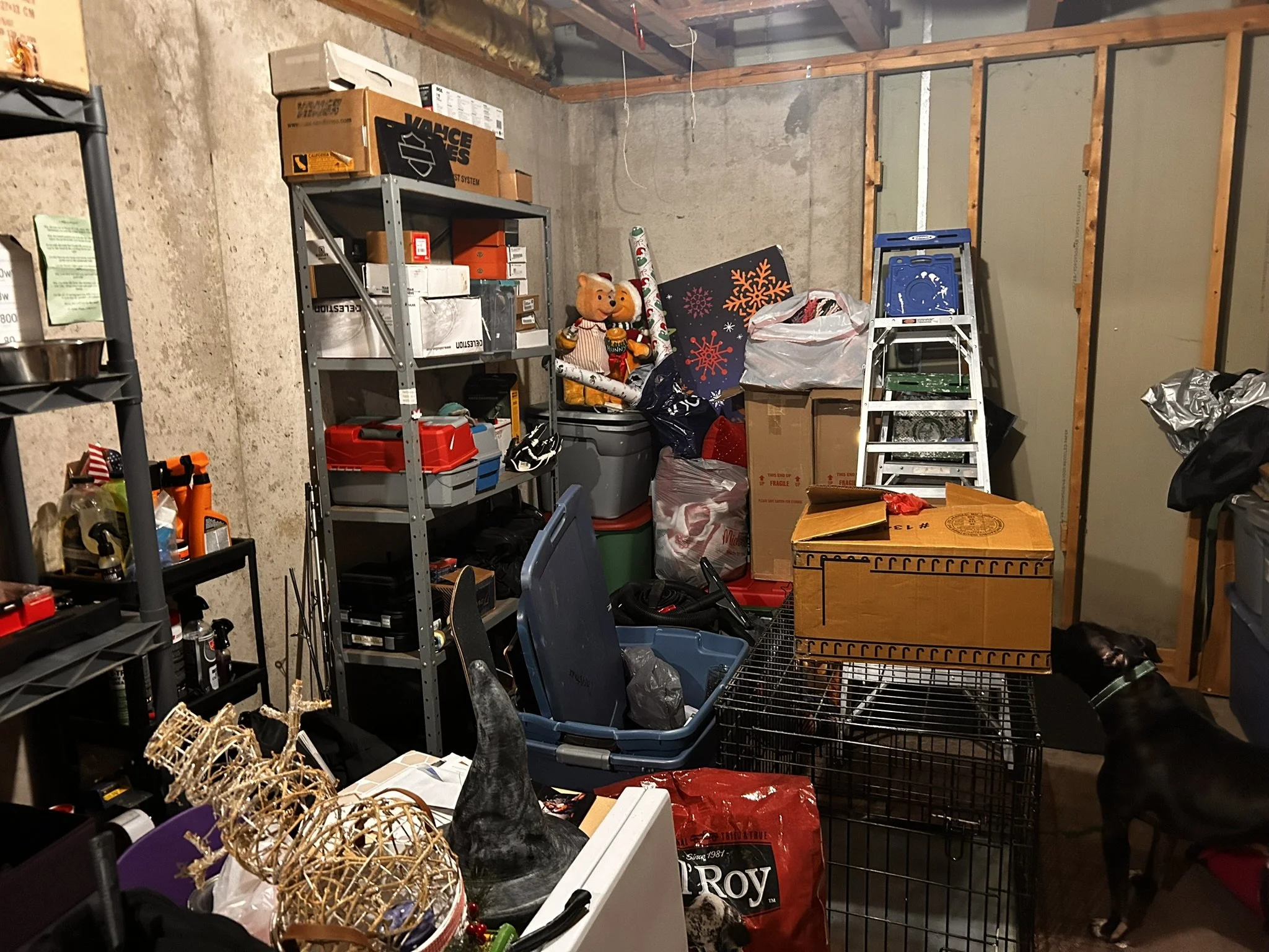 A cluttered storage room with metal shelving units filled with boxes, supplies, and Christmas decorations, including a teddy bear in Santa hat, wrapping paper rolls, and holiday-themed signs. There's a shopping cart and a ladder in the room.