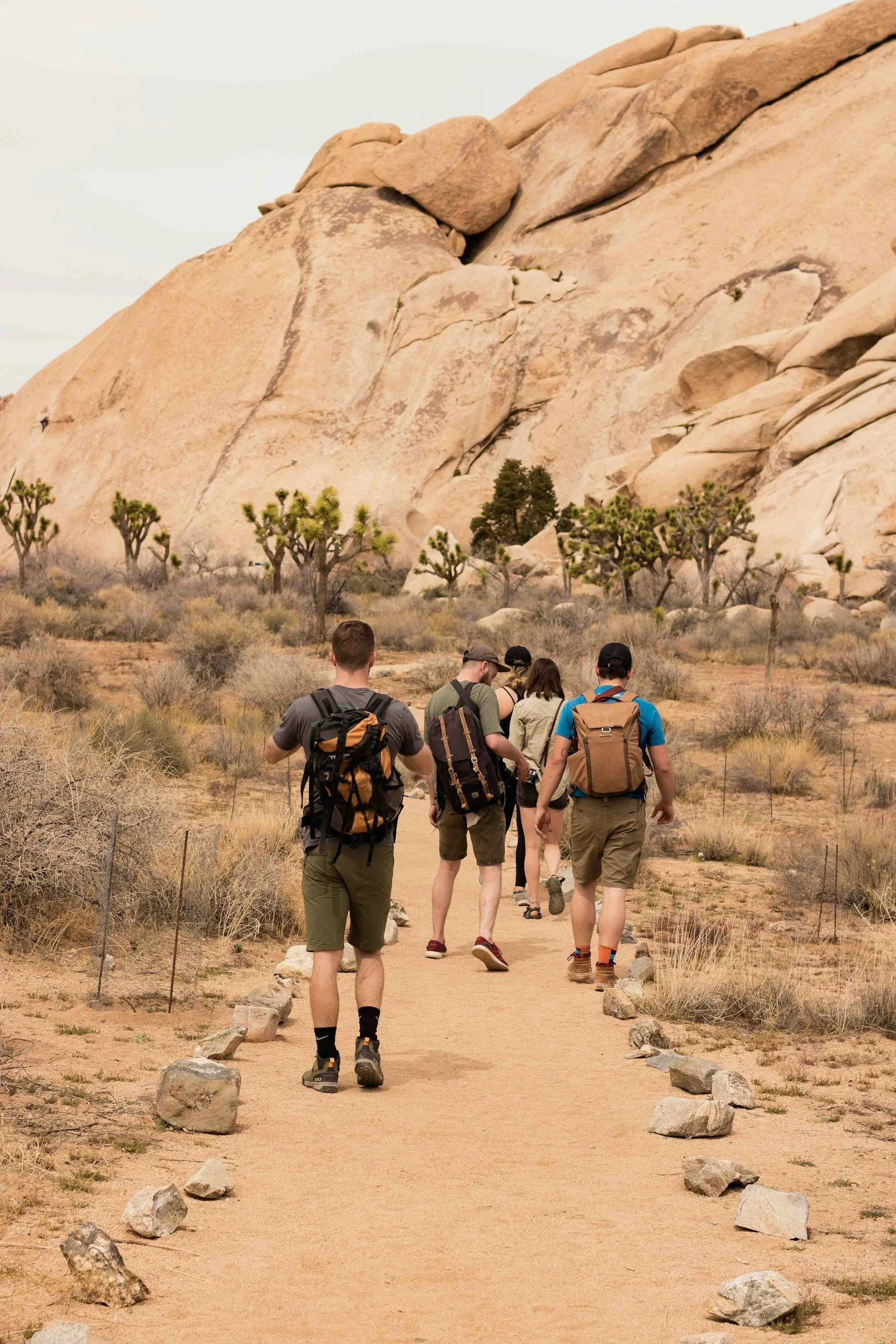 Group of travelers hiking through a desert landscape with rock formations and Joshua trees.