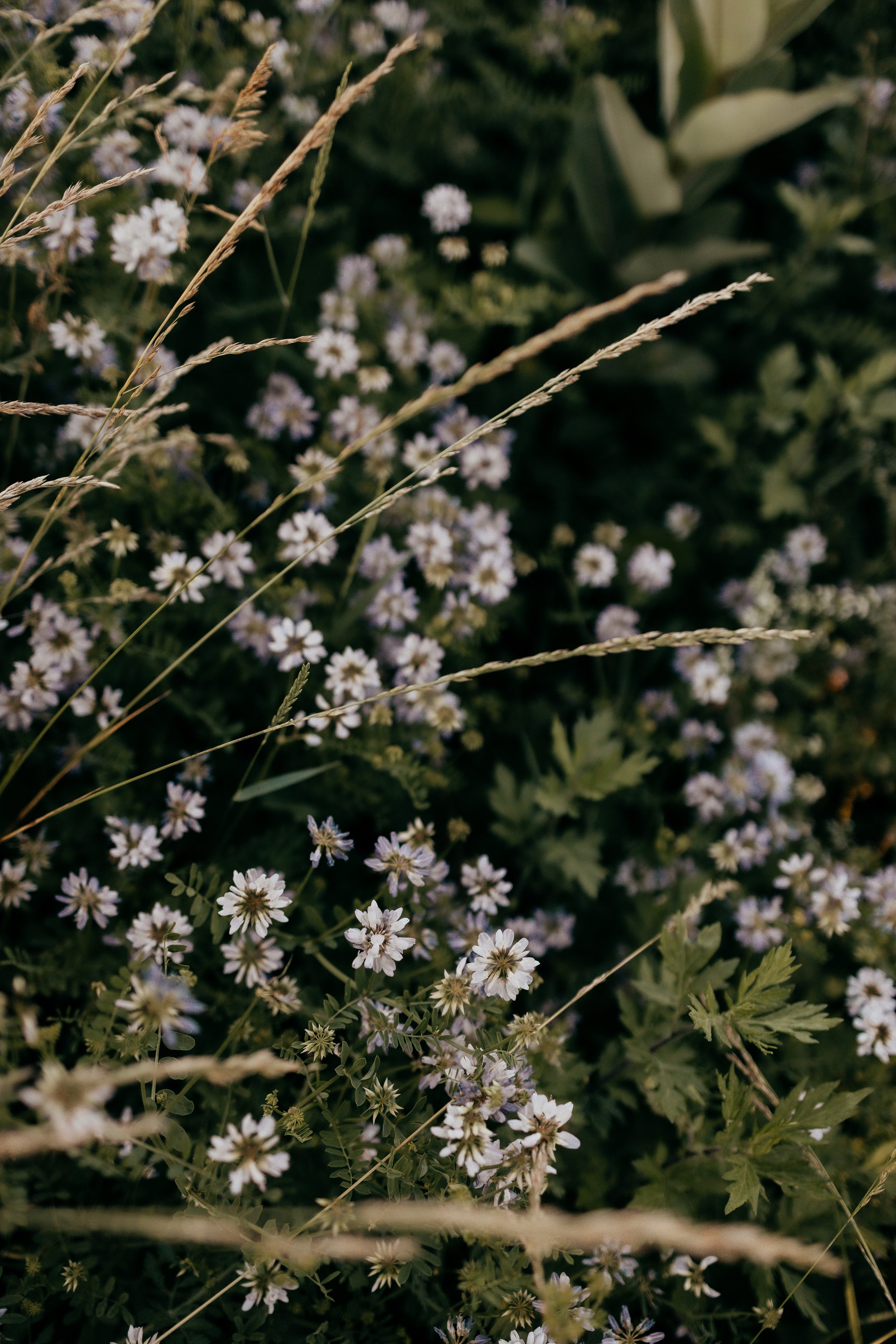 Fixing Our Eyes on Healing: Brain-spotting and Christian Faith